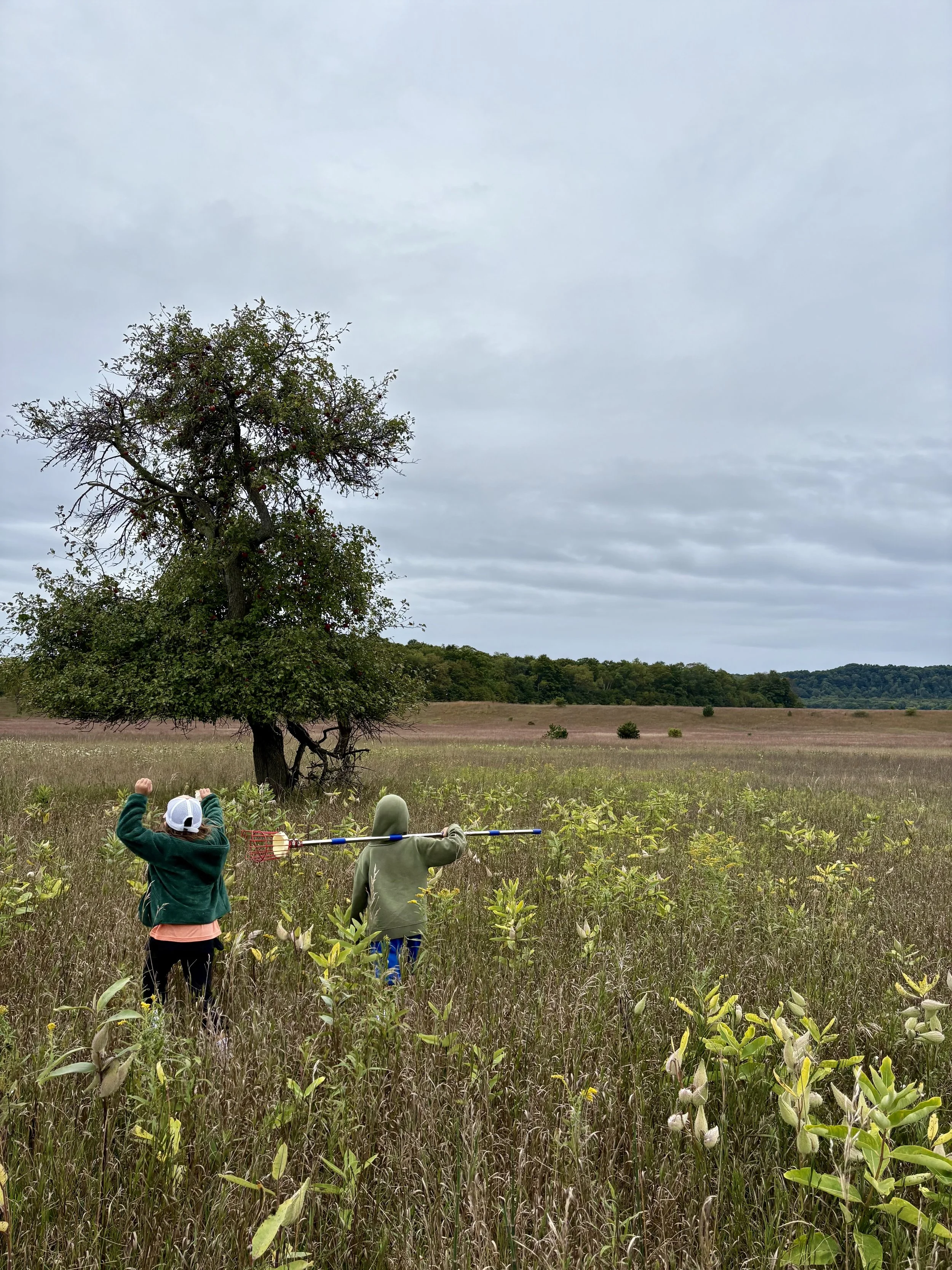 apple_picking_4.jpg