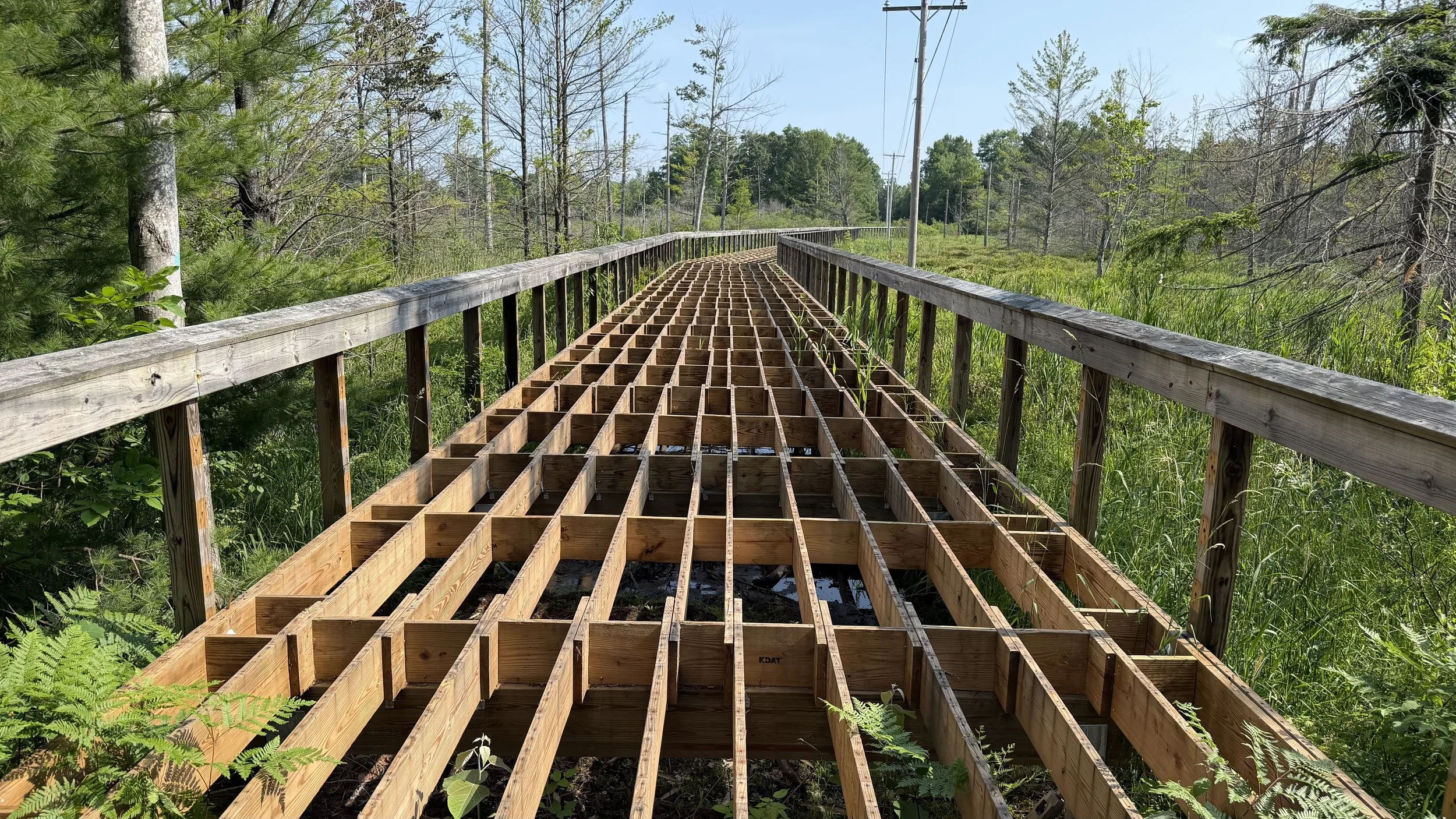 2026_SBHT_Tucker Boardwalk_IMG_3263.jpeg