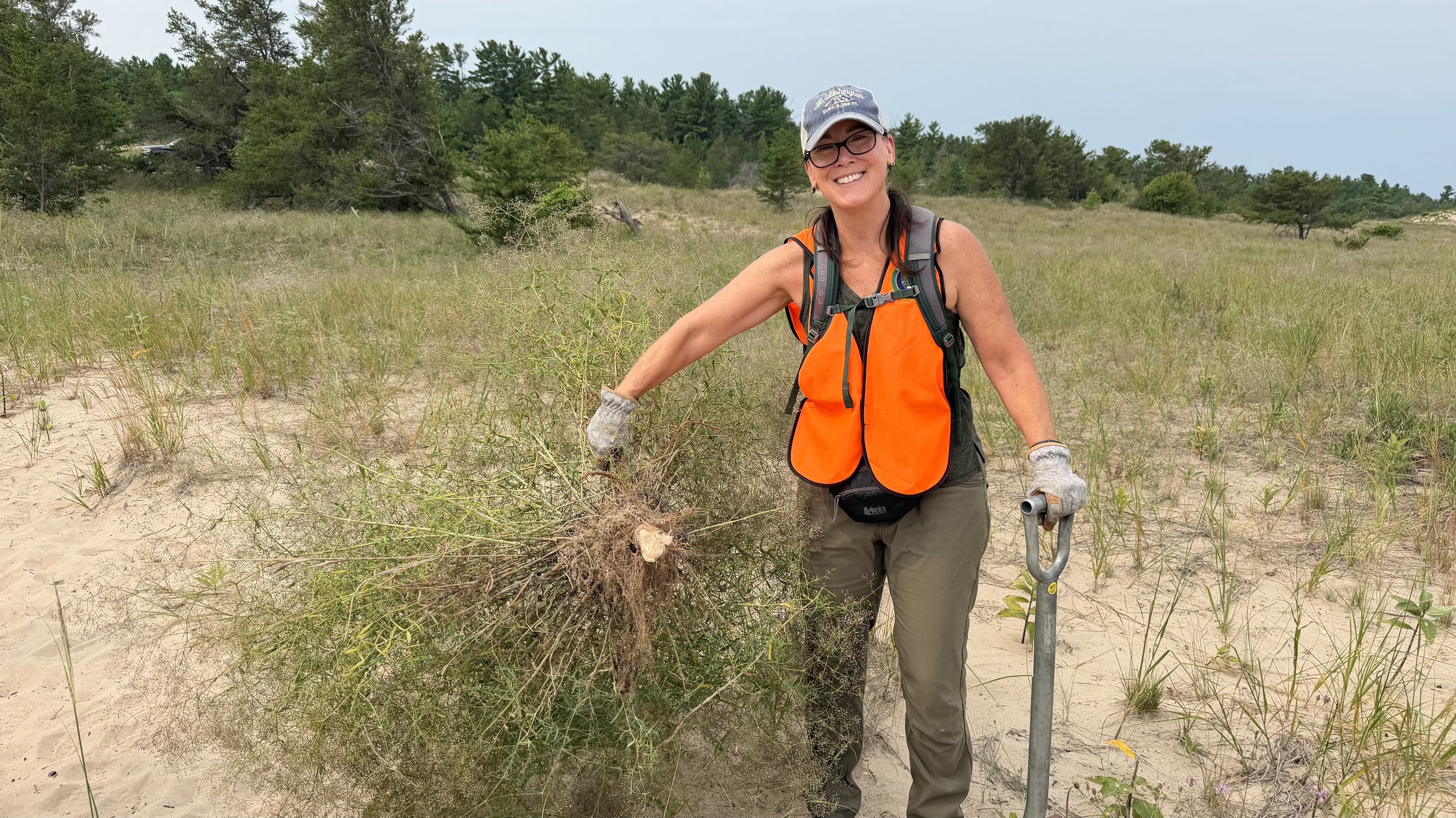Invasive Species: The Plants Hiding in Plain Sight
