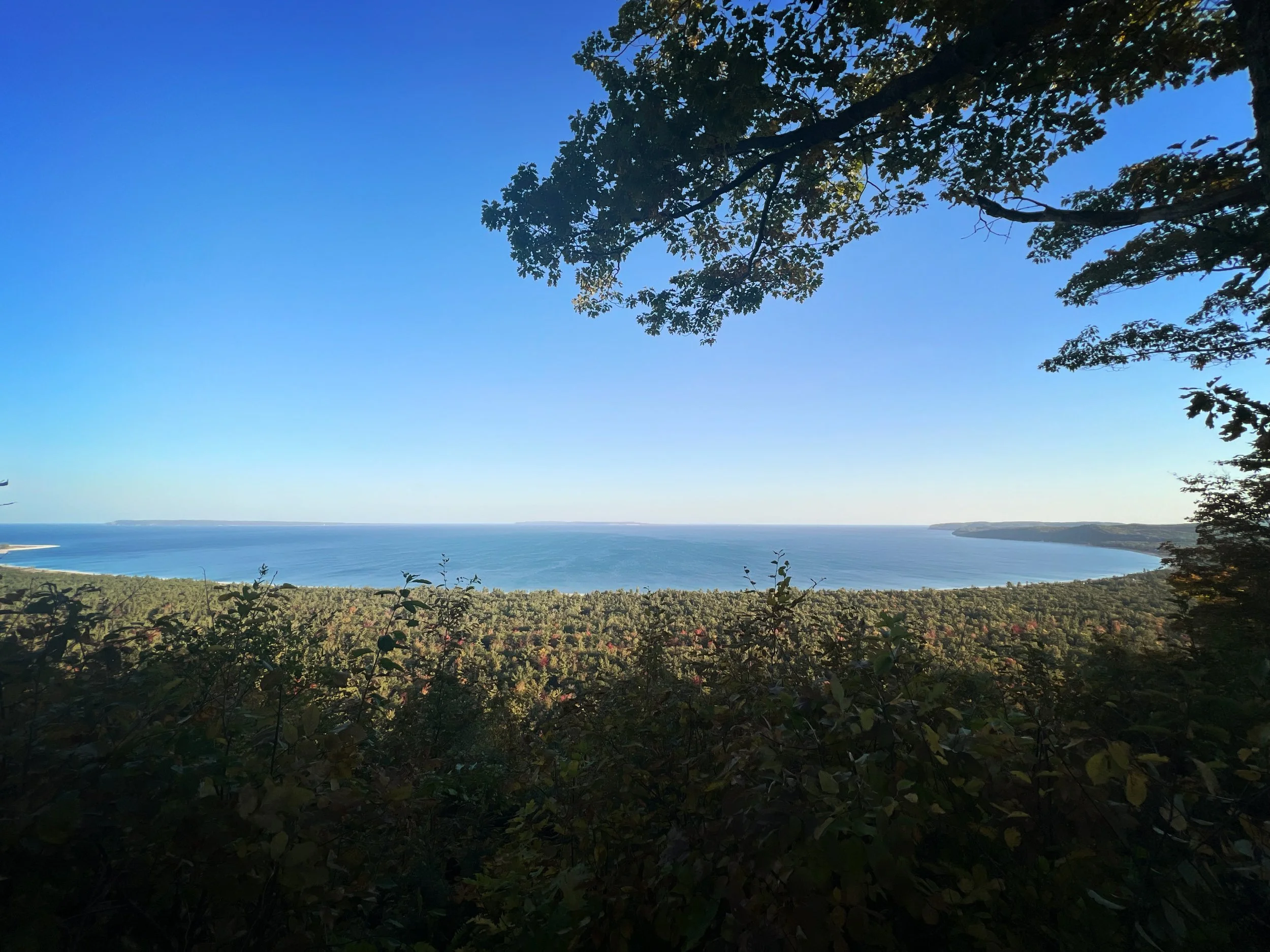 View of Lake Michigan and woods from a high bluff