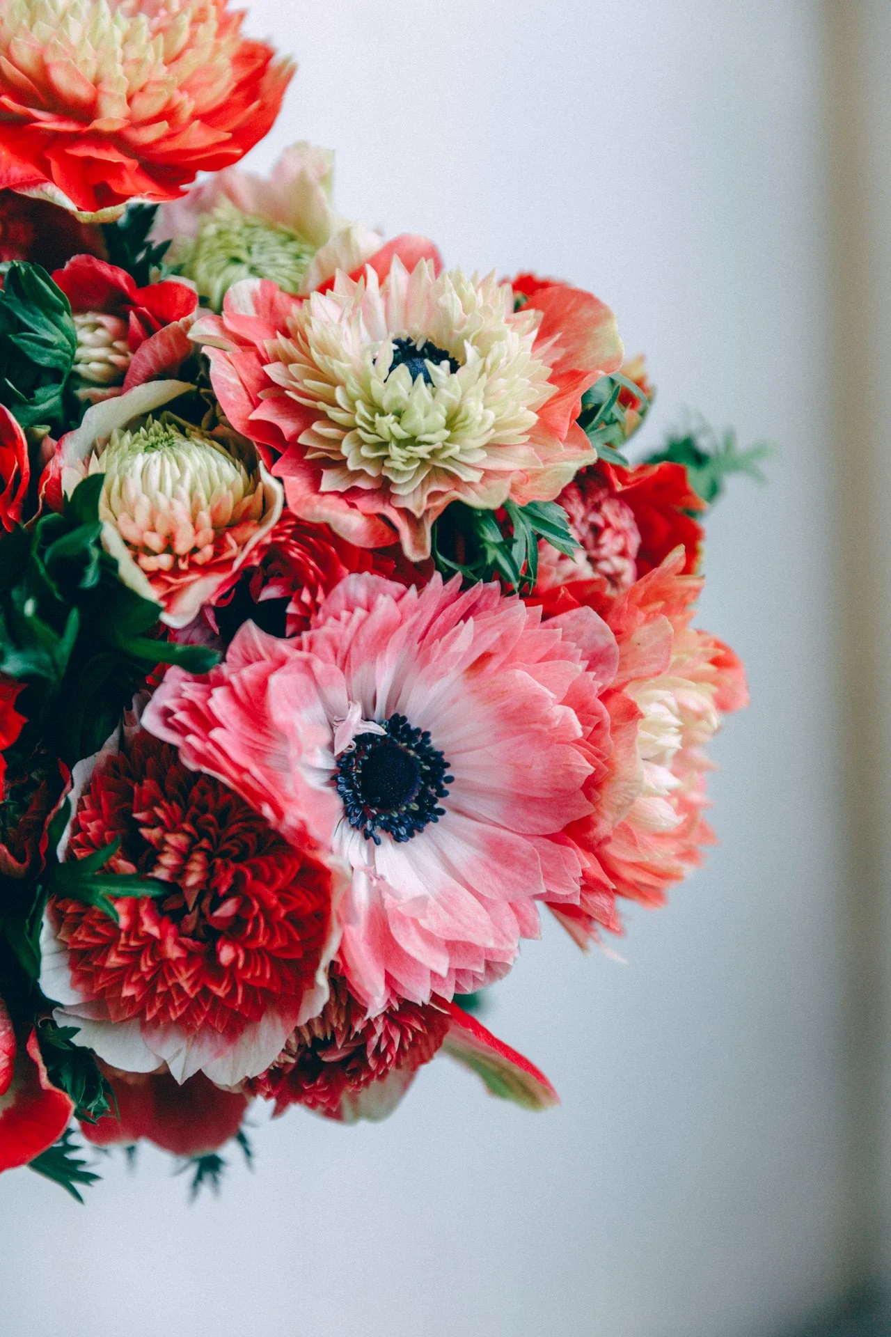 8 Nov 2025 Bunches-19.JPG