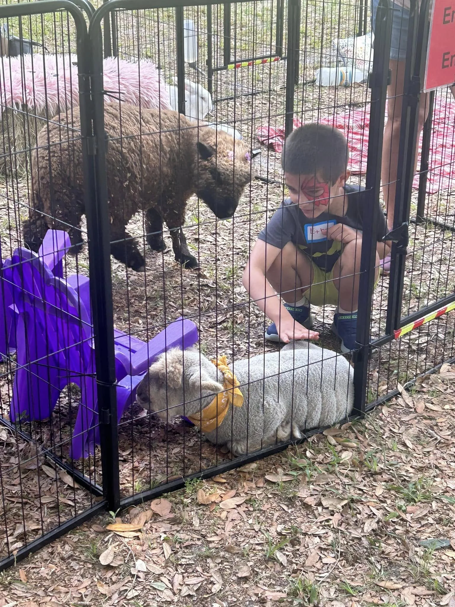 Finley Project Family Picnic4.jpg