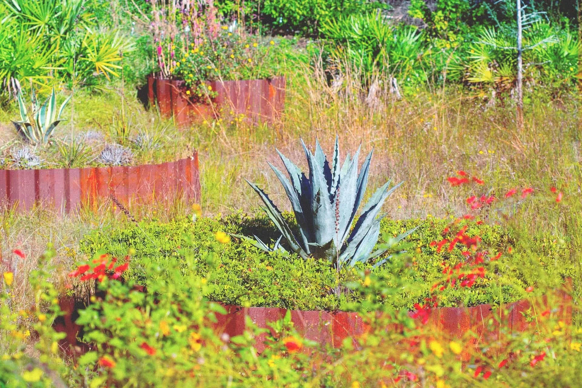 Pulp Gardens, Exterior
