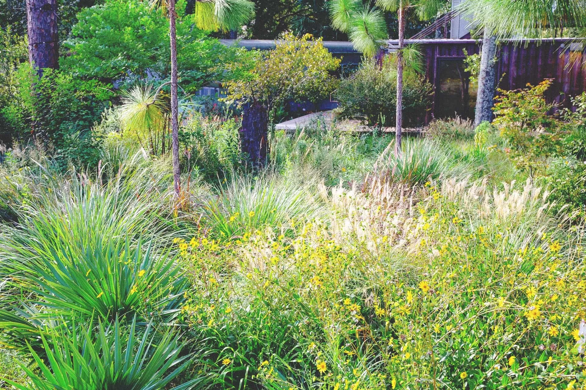Pulp Gardens, Exterior