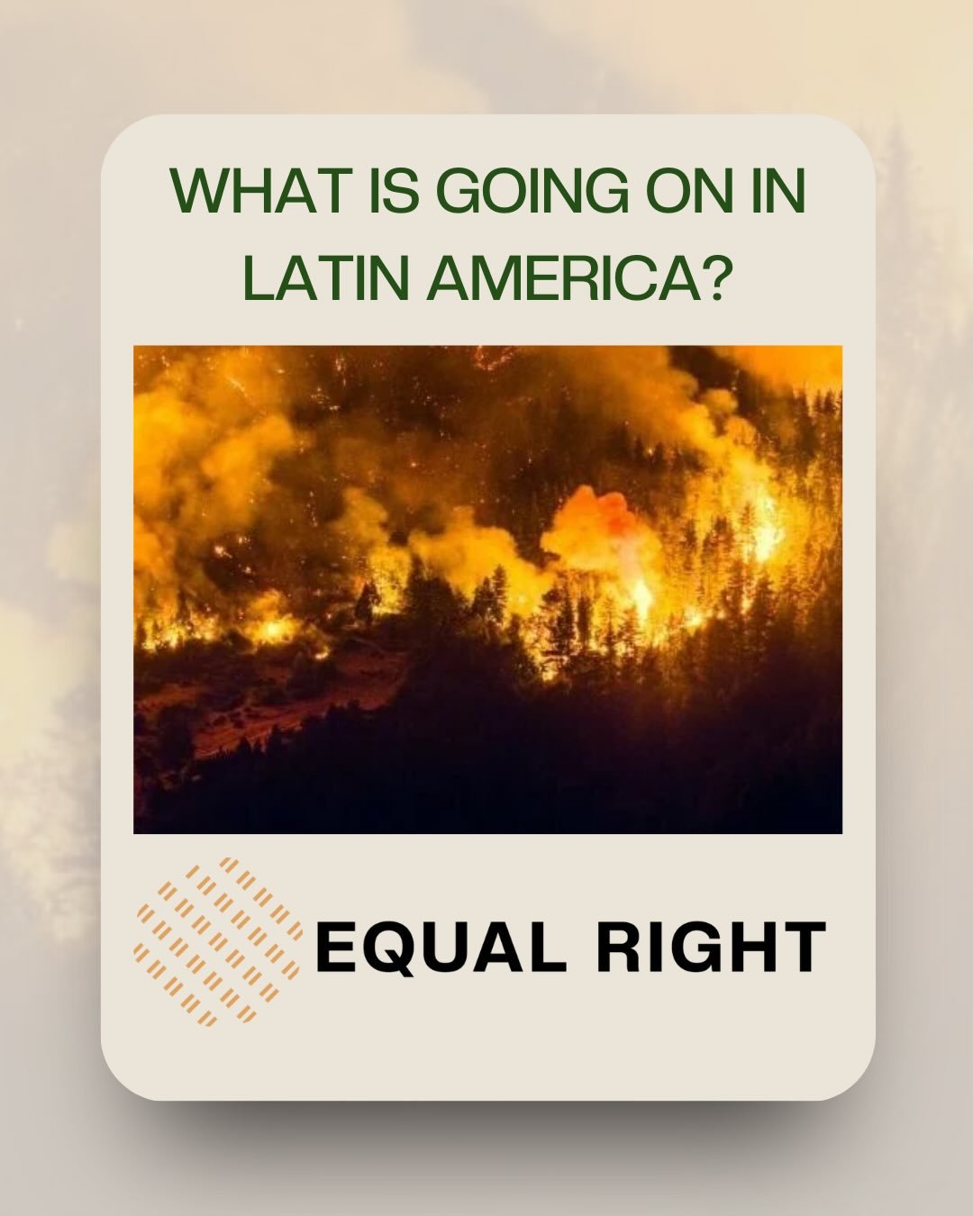 What is going on in Latin America?

From wildfires in Chile and Patagonia to repeated flooding in Colombia, climate impacts are escalating across the region - destroying homes, displacing communities, and threatening ecosystems.

These are not isolat