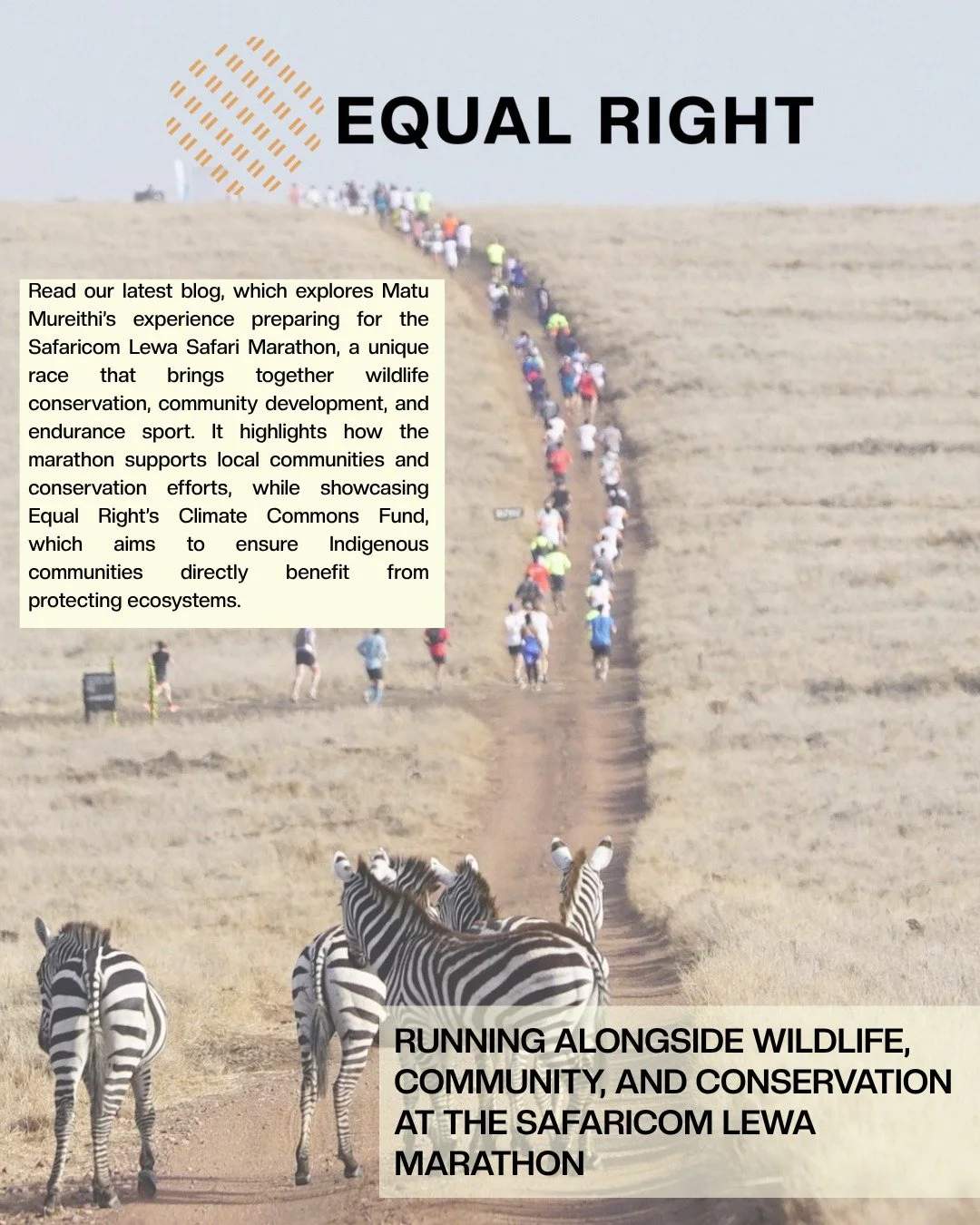 What if conservation could directly improve the lives of the people who protect nature every day?

As our advisor Matu Mureithi prepares to take part in the 2026 Safaricom Lewa Safari Marathon, he reflects on why this remarkable event matters far bey