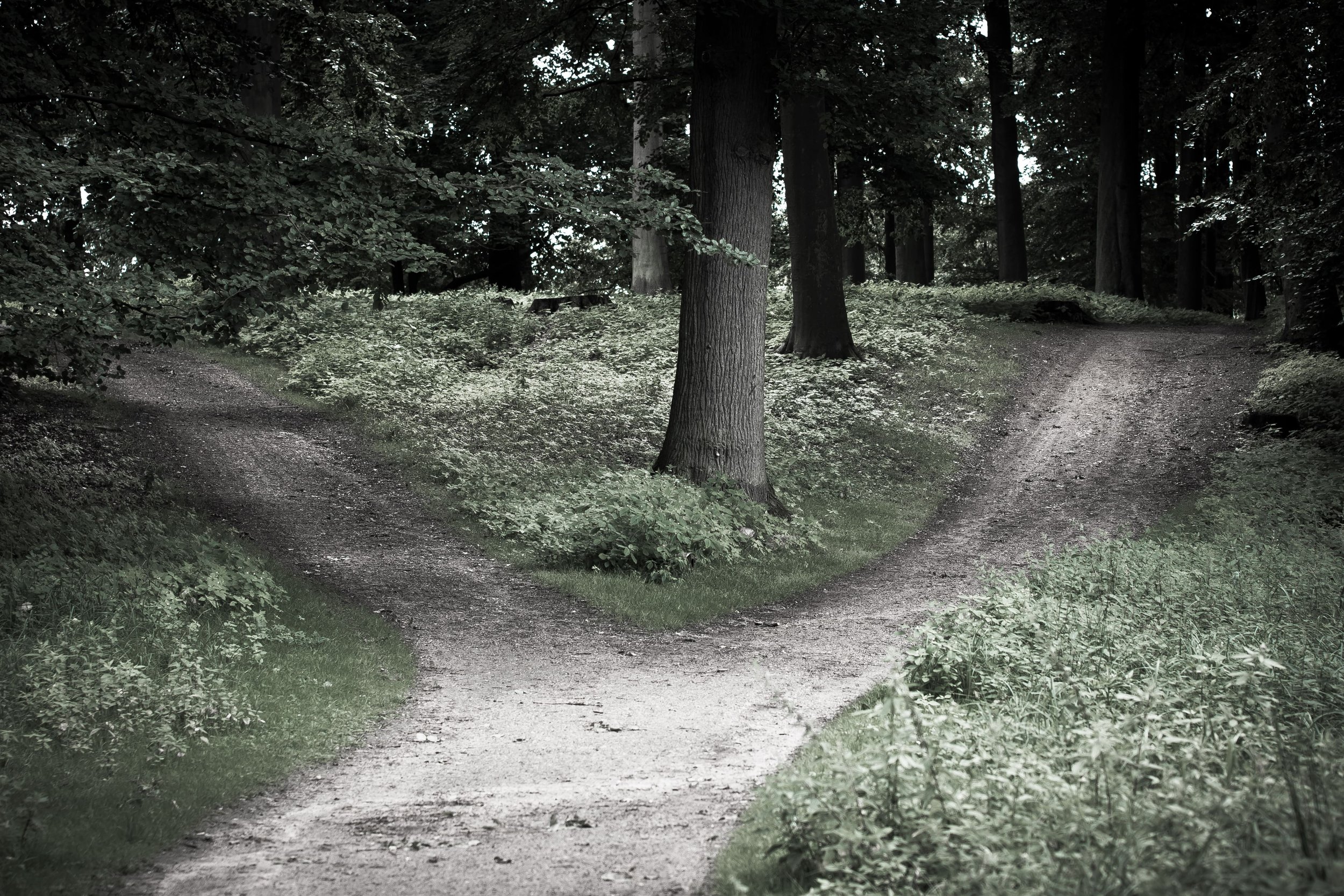 Transitions and Cross Roads