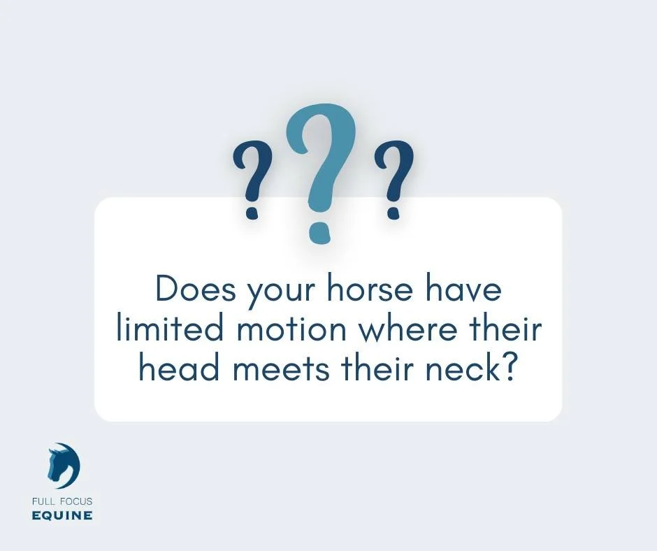 Restricted mobility in the poll can be uncomfortable and may lead to tension headaches, similar to what we experience. Since horses use their neck for balance, poll stiffness affects the whole body&mdash;impacting rideability, movement quality, and e