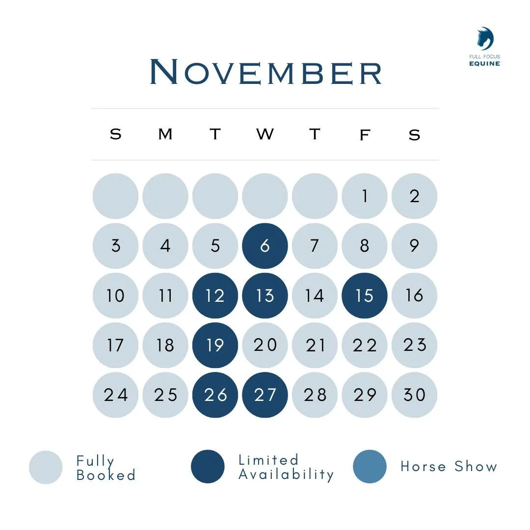 Looking to get on the calendar before the holidays? 📅 Don&rsquo;t wait! Check our availability and book your horse&rsquo;s appointment today&mdash;our November schedule will fill up fast!