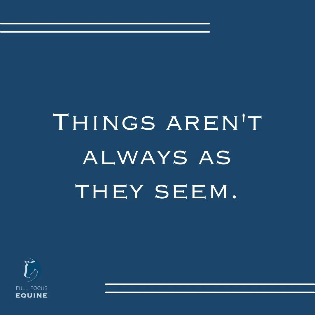 Winning teams aren't just lucky; they're built on hard work, careful planning, and smart strategies. And just because a team is struggling doesn't mean they aren't giving it their all&mdash;they might be dealing with challenges that are not immediate