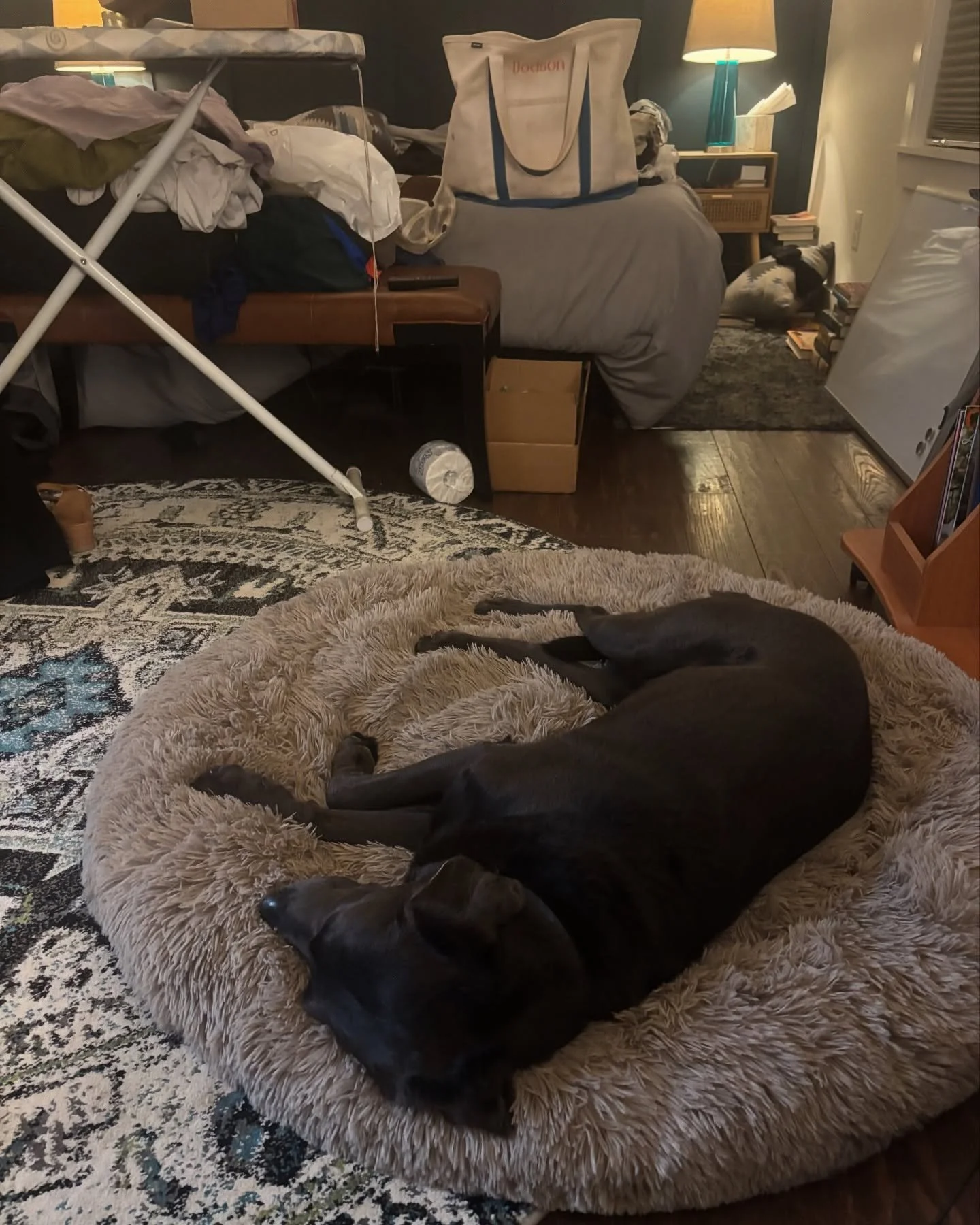 Packing. Alongside snoring dog. 

Earlier tonight I called my friend while standing in front of the mirror half inside a dress with one shoe on and wearing two different earrings. Making myself presentable for book tour IS exciting and fun, and I do 