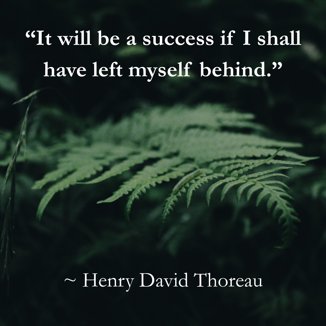 5 things i didn’t know about henry david thoreau