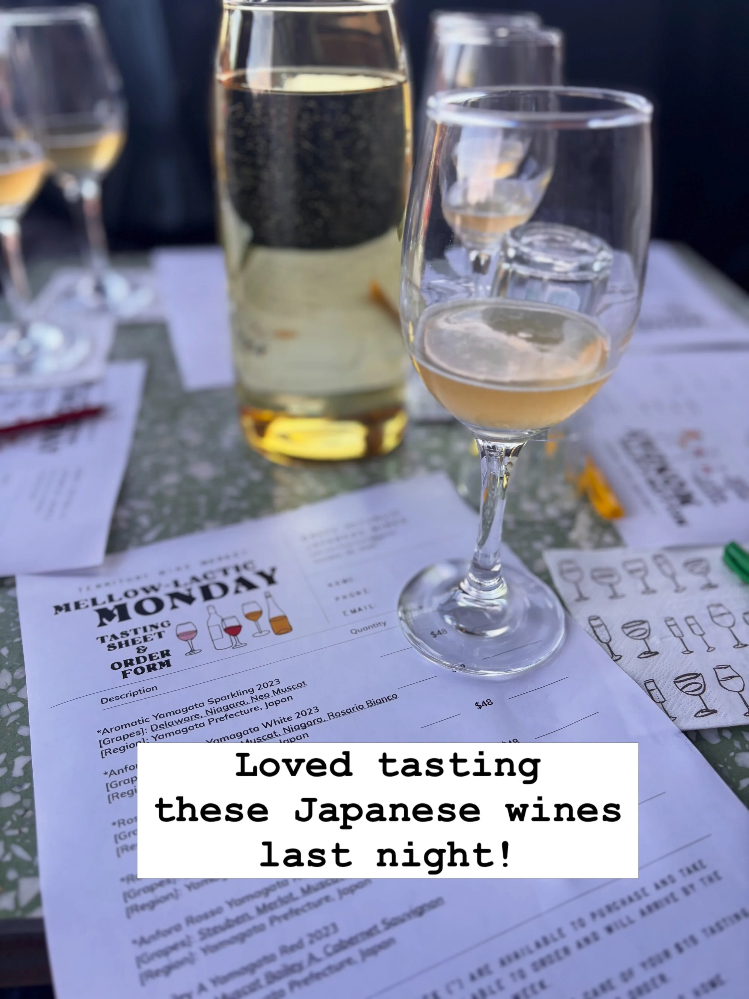 Thanks for a super-cool night in the hometown, @territorywine ! 

🍷🍶

#territorywine #brevardnc #winetasting #japanesewines #yamagataprefecture