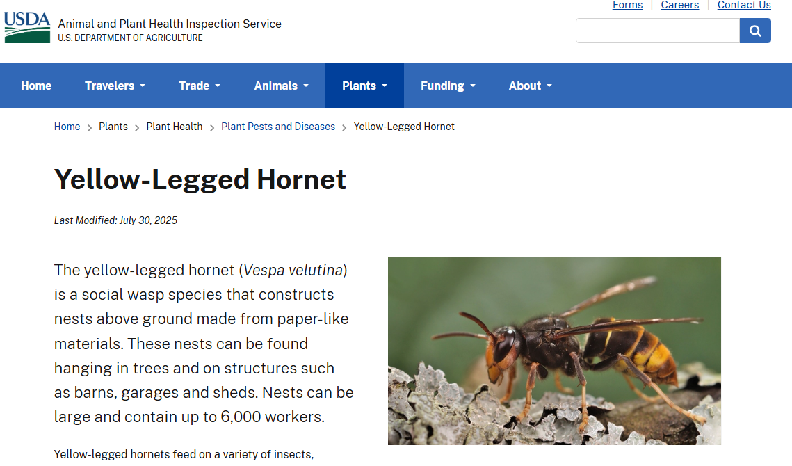 Link to website