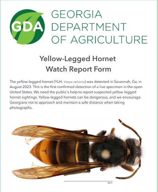 Example of Report tool