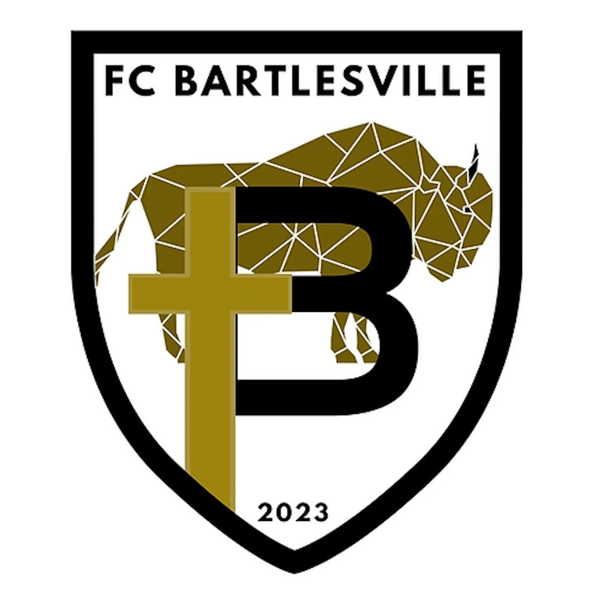 BUFFALOES ANNOUNCE YOUTH SOCCER CAMP AT ROBINWOOD PARK