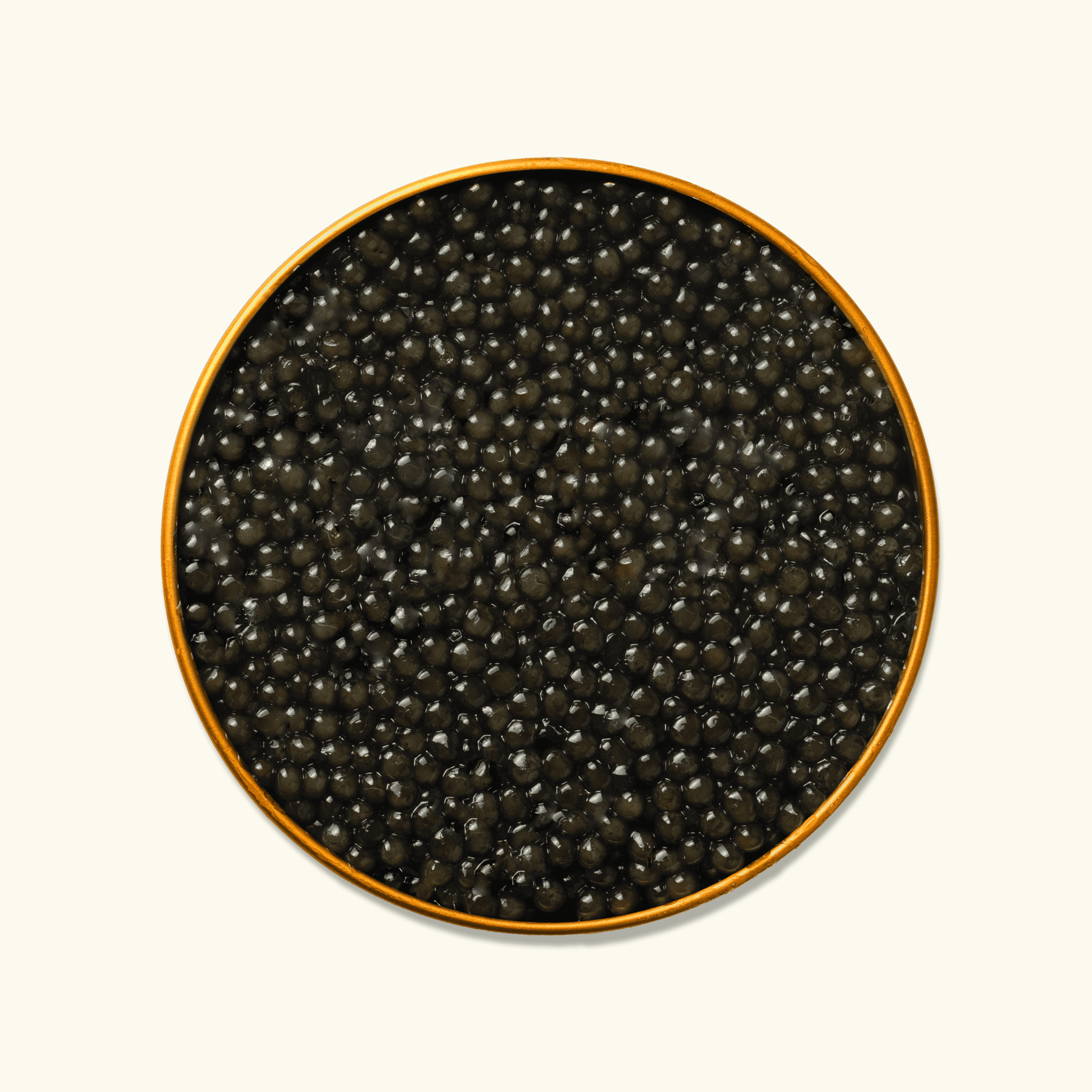 Close-up of Admiral Siberian Osetra caviar with dark grey pearls