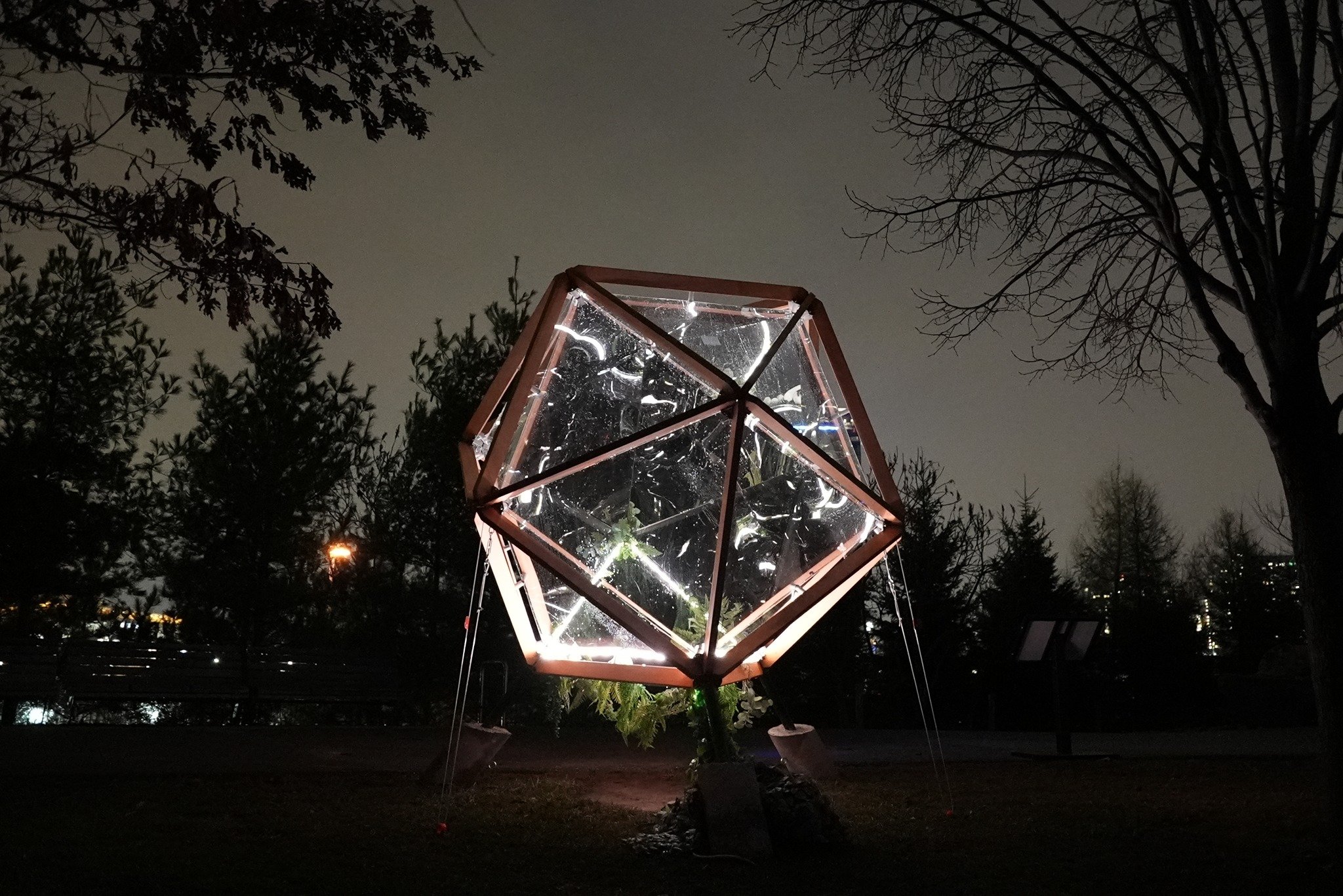 Lumiere 7.jpg