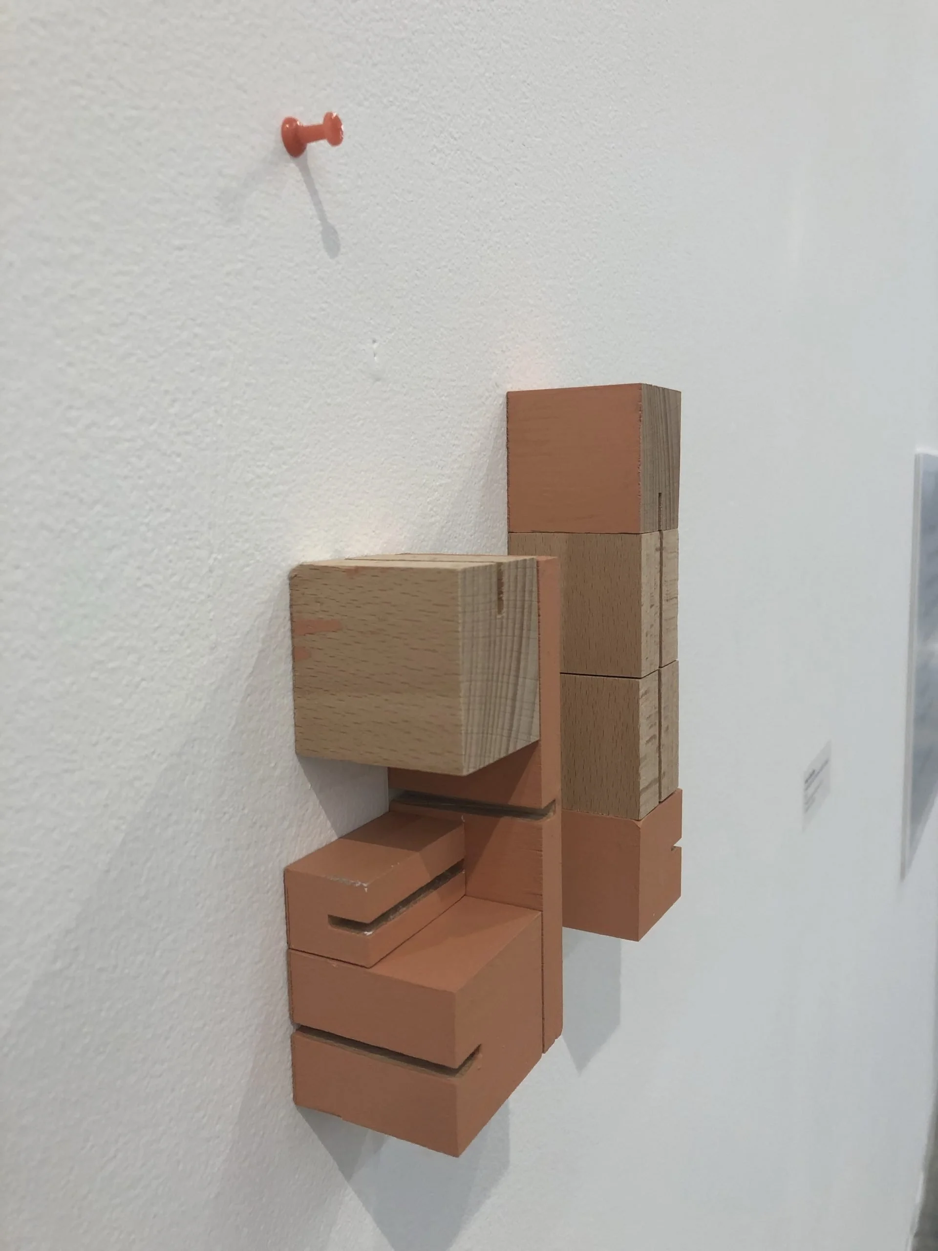 Apartment Blocks- B
Wood blocks in three different shapes painted with gouache mounted on the wall, push pinsDetail