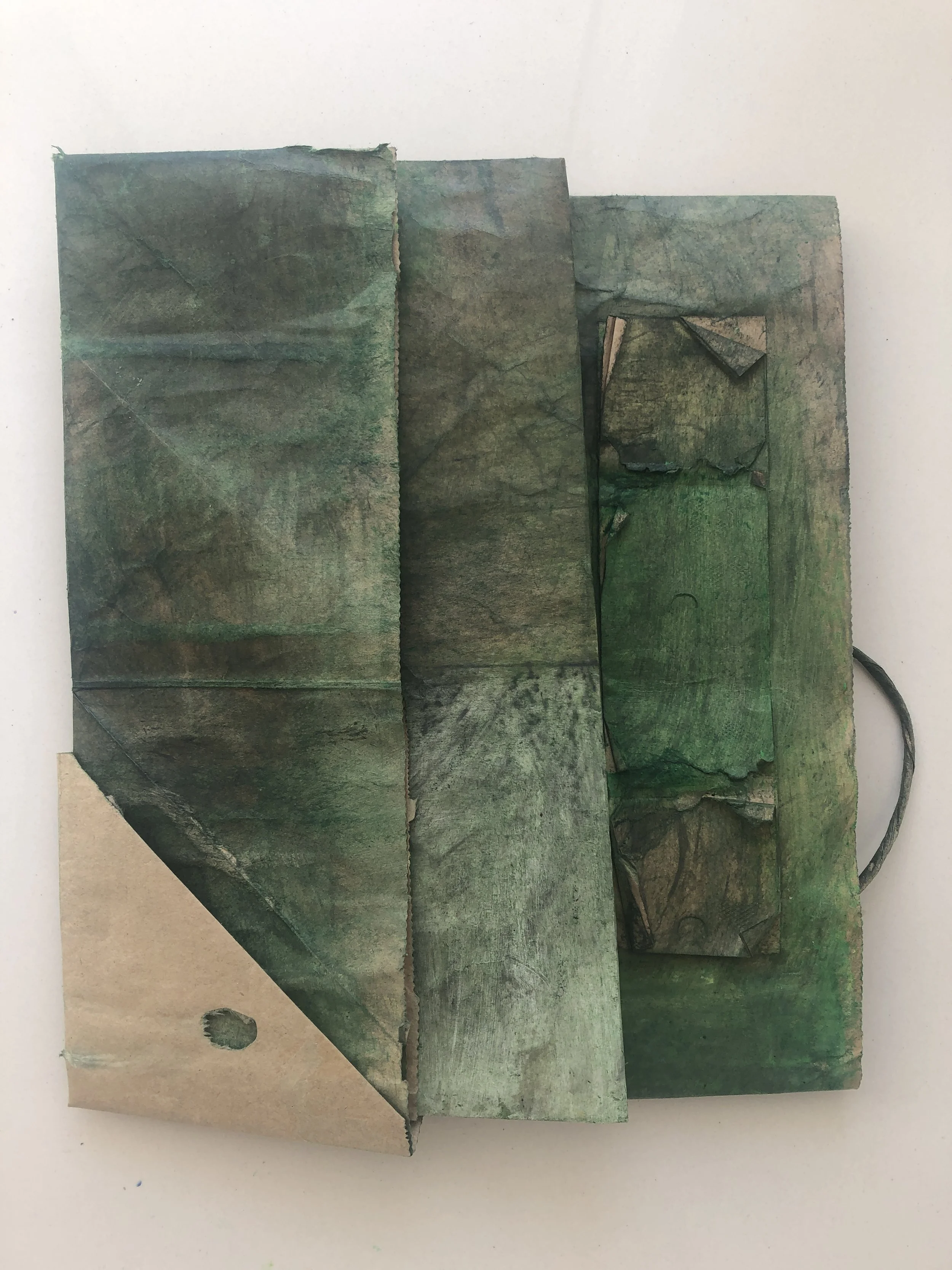 Generic Brown Bag - back - green.JPG