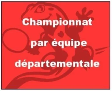 championnat par equipe departementale
