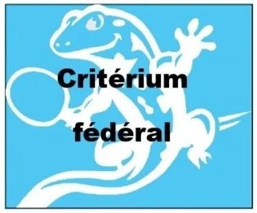 criterium federal regional