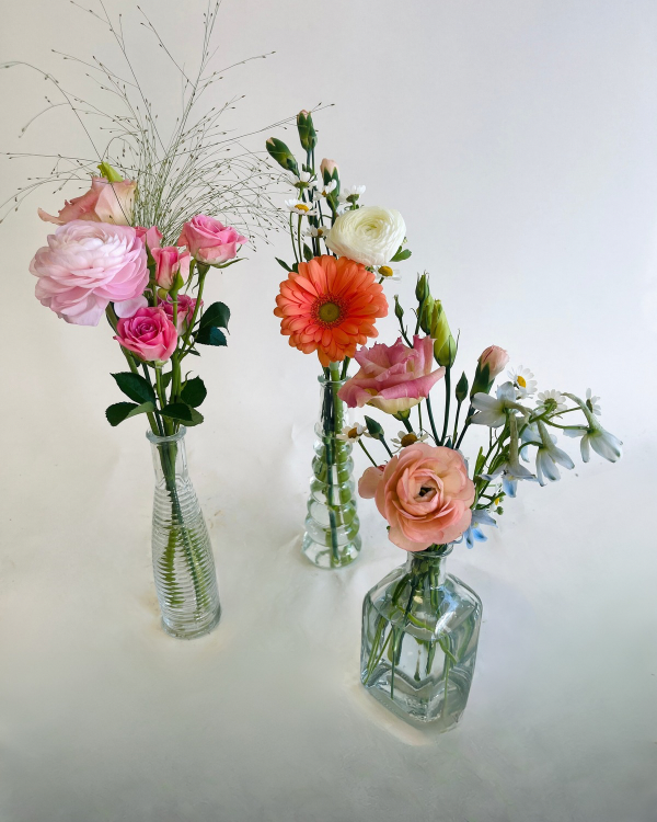 Untitled design 2.PNG