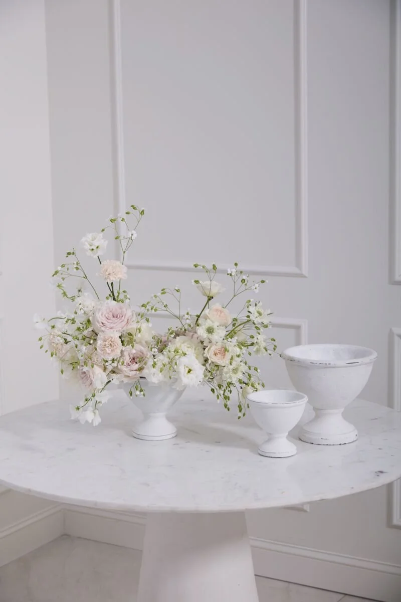 White Benoit Compote3.jpg