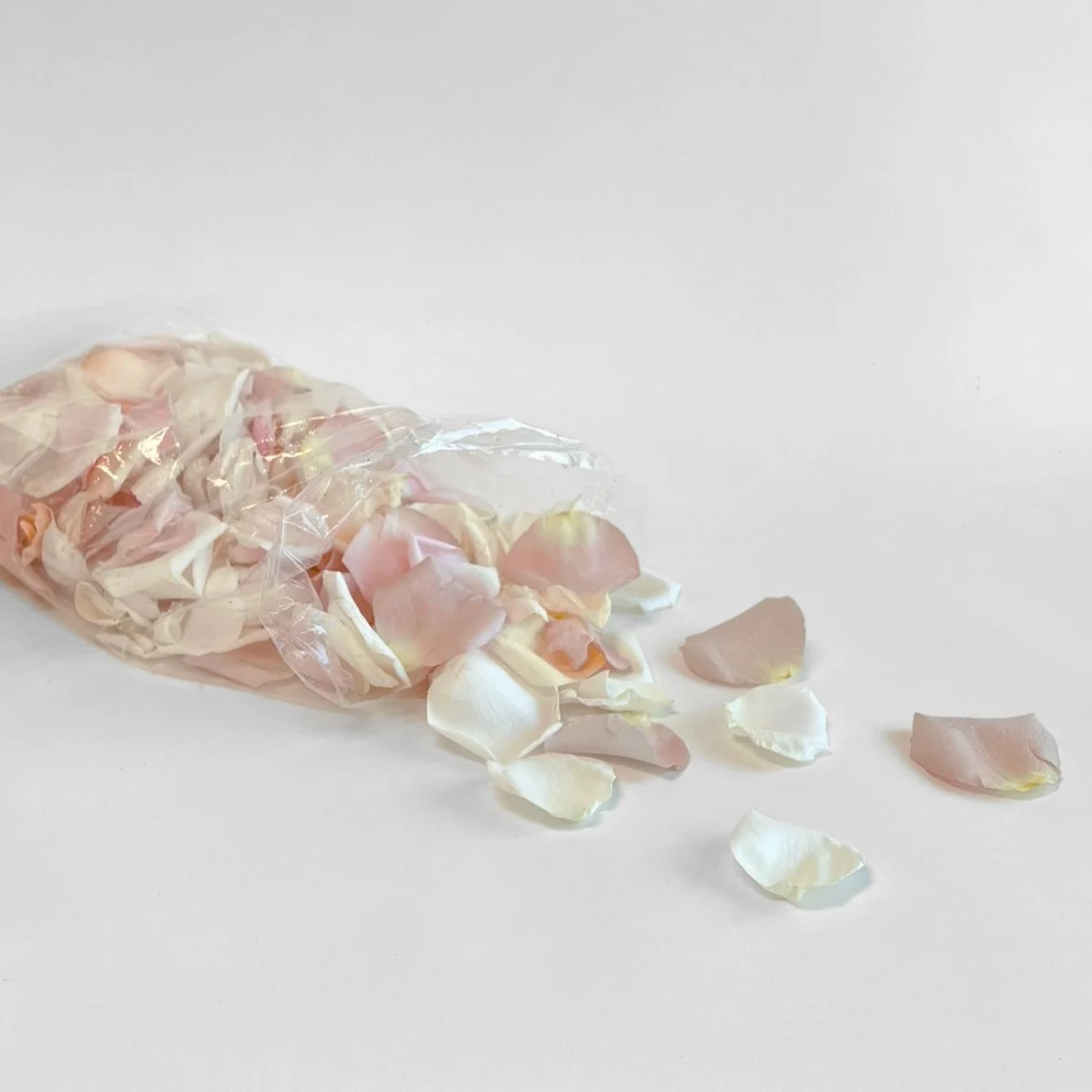 flowerpetals.jpg