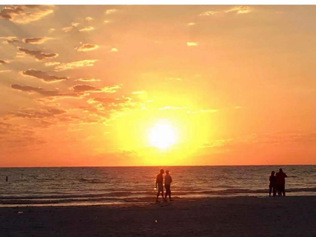 Flyer option sunset.jpg