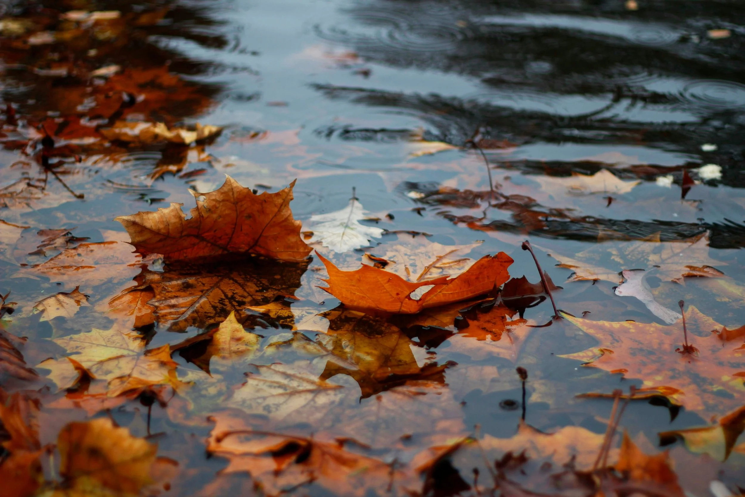 Back to Routine: When September Feels Like a Fresh Start