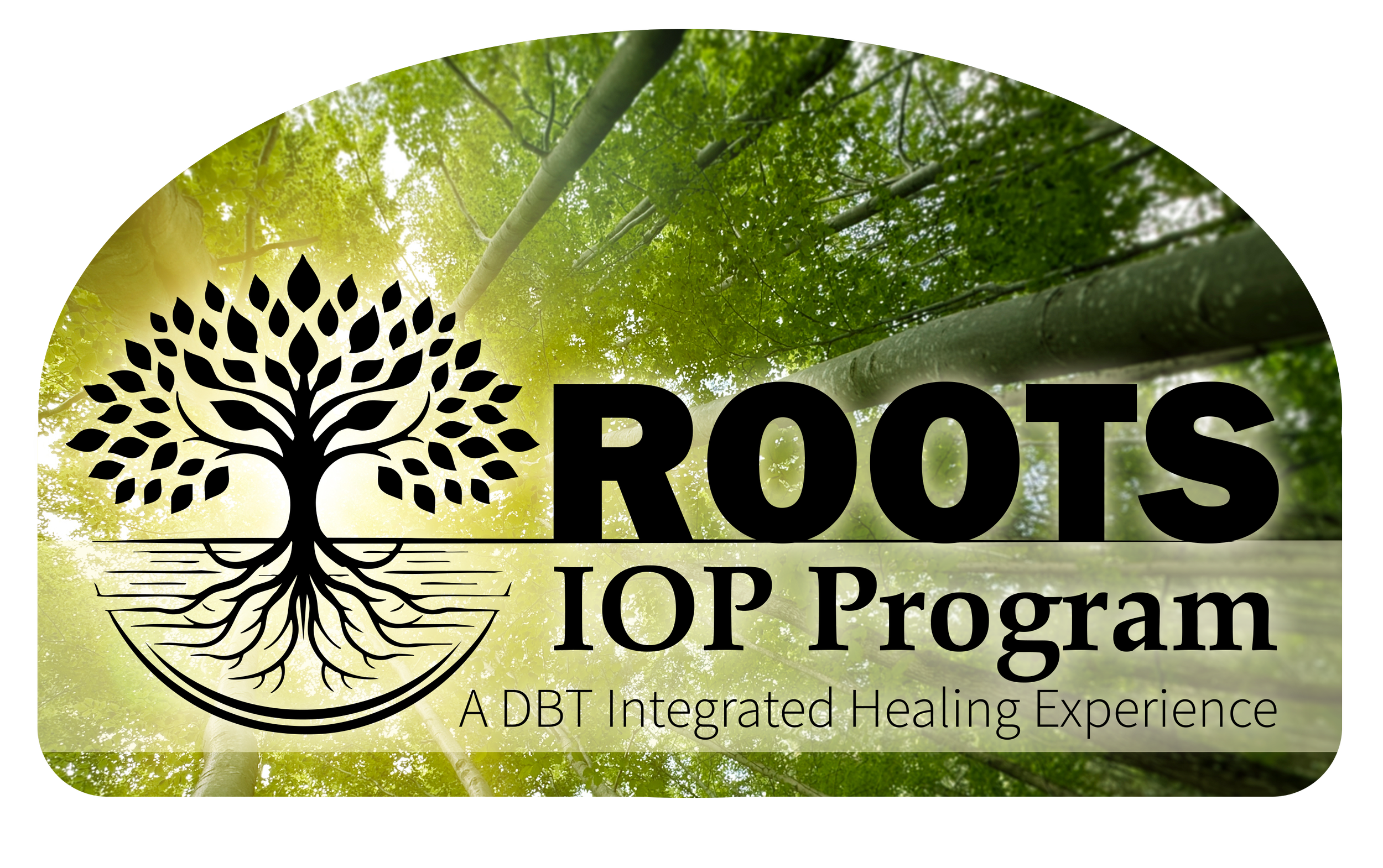 Kentucky Services ROOTS IOP Program