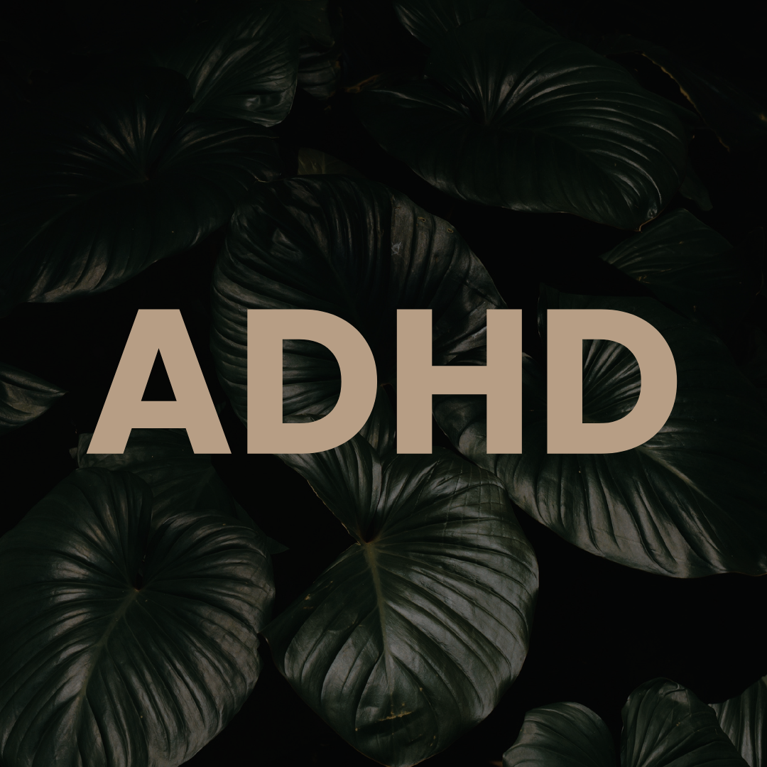 ADHD Assessments Kentucky Services