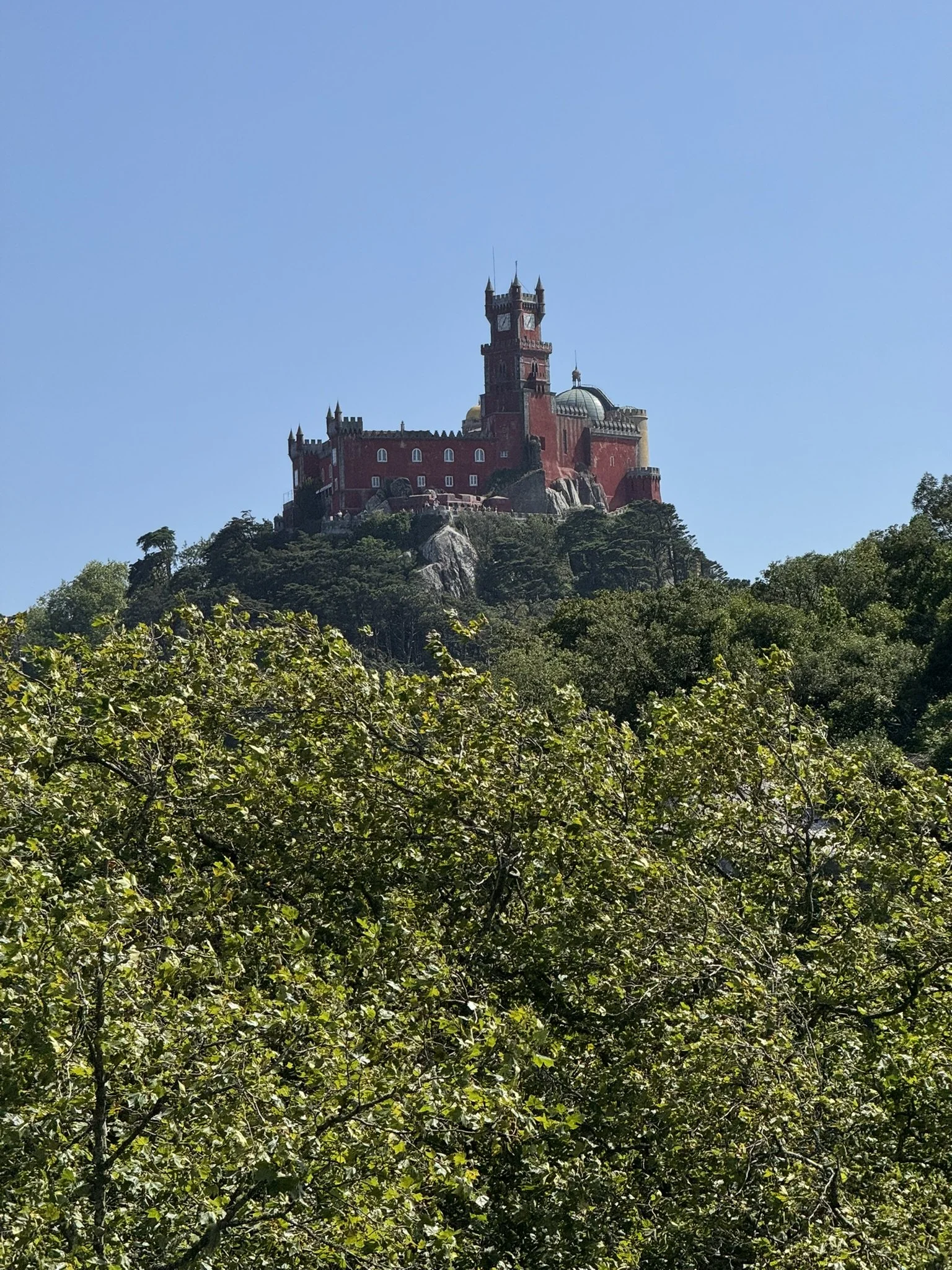 IMG_9729.JPEG