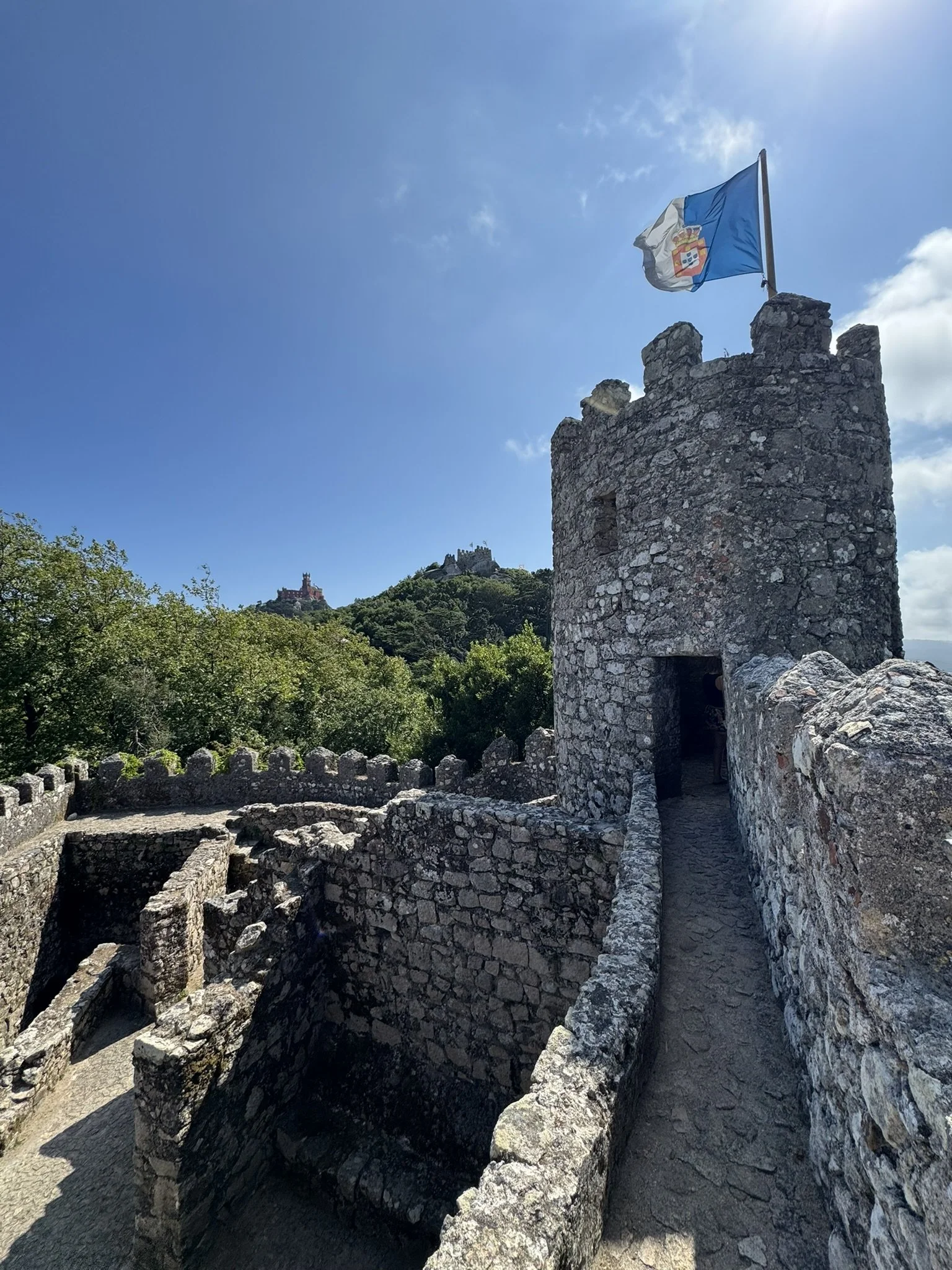 IMG_9726.JPEG