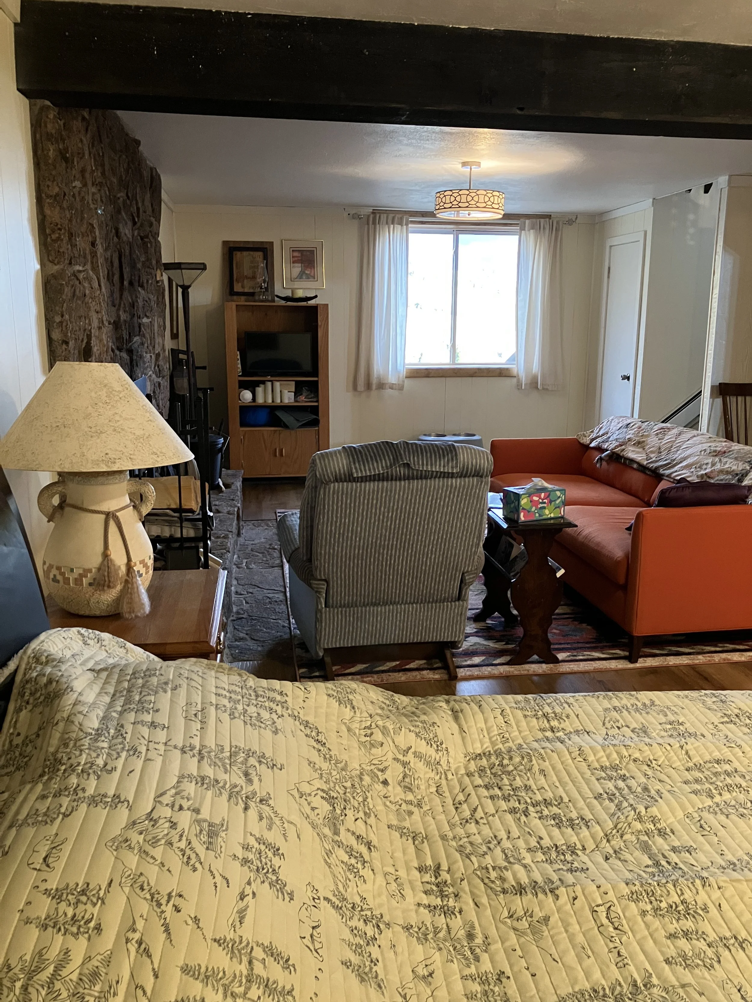 Living room with a bed in the foreground, a side table with a lamp, a striped armchair, a wooden coffee table, a red sofa, a TV on a wooden stand, and a window with curtains.