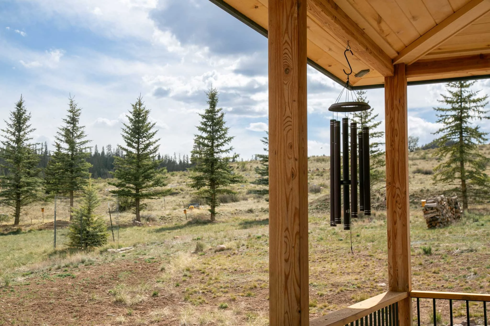 227 Bee McClure Creede America - Ashography-7513.jpg