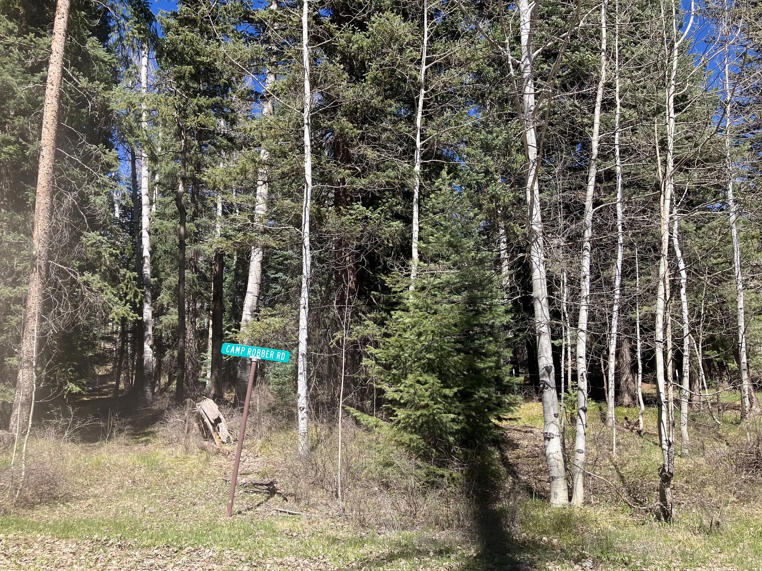 Lost valley of the san juans, Mineral county, Creede…but closer to Pagosa Springs