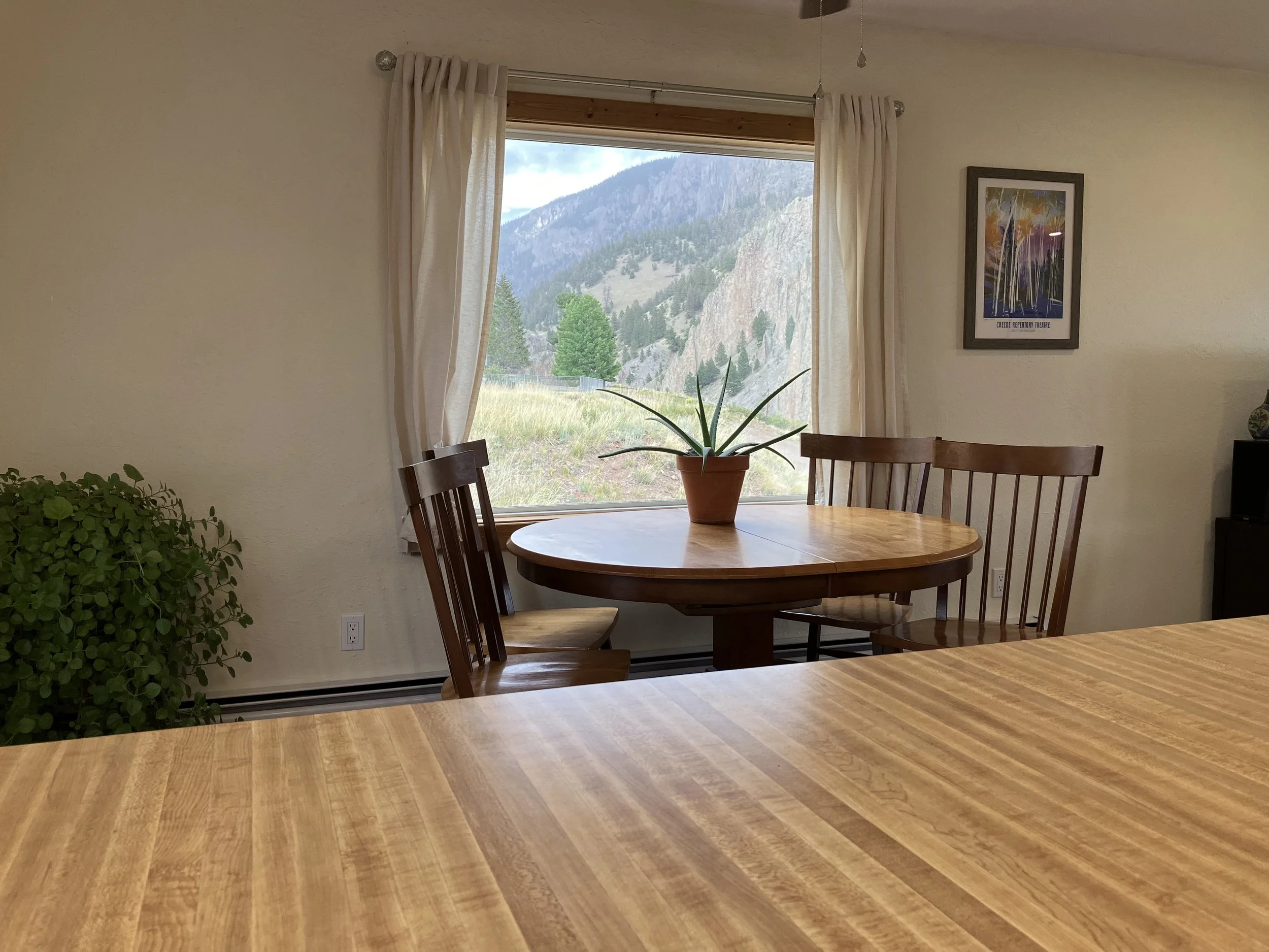 Dining room with wooden table and chairs near a window with a mountain view, potted plant on table, framed artwork on wall, and a sideboard to the right.