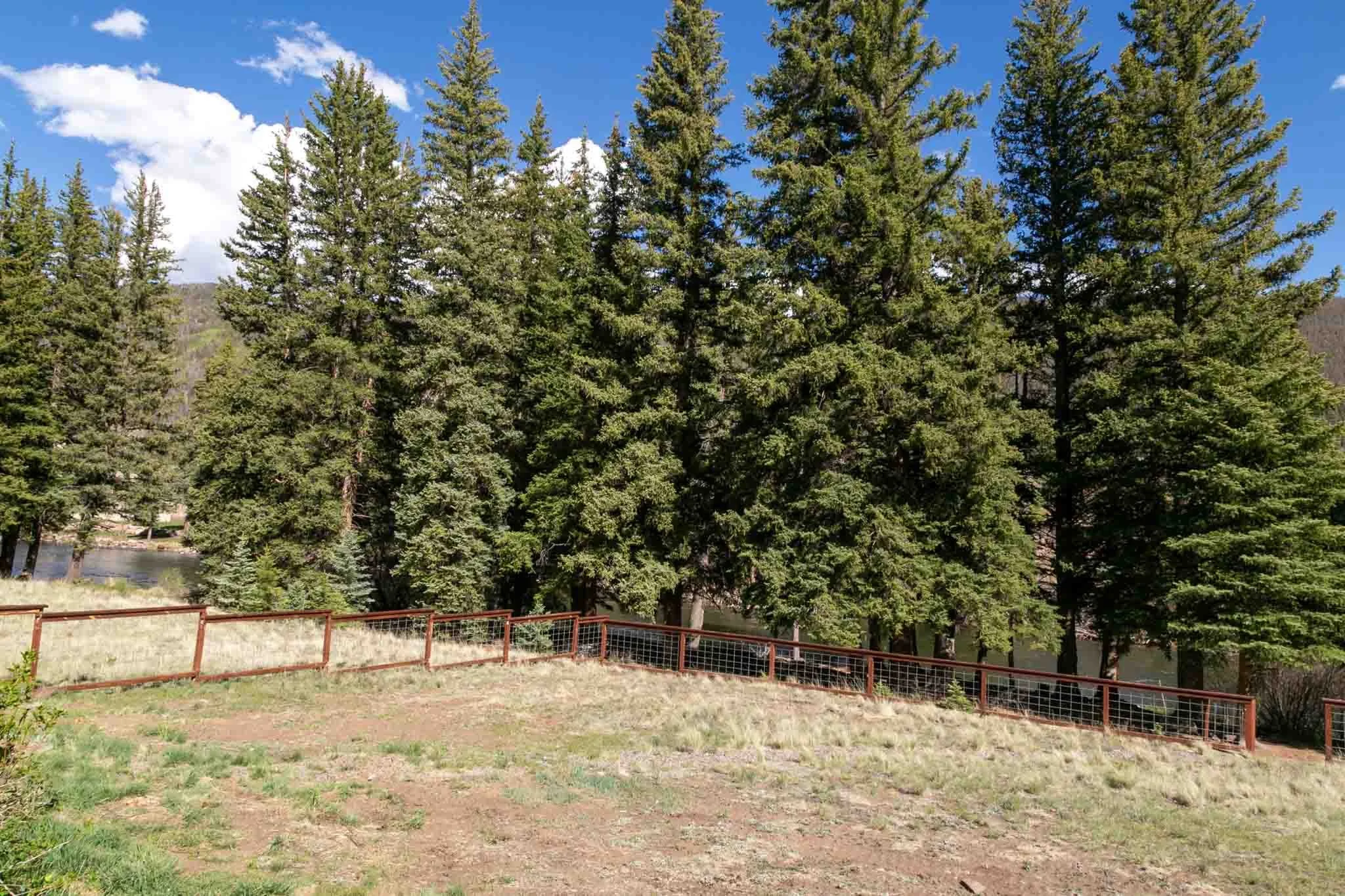 6Backyard28920Hwy149CreedeCO81130.jpg