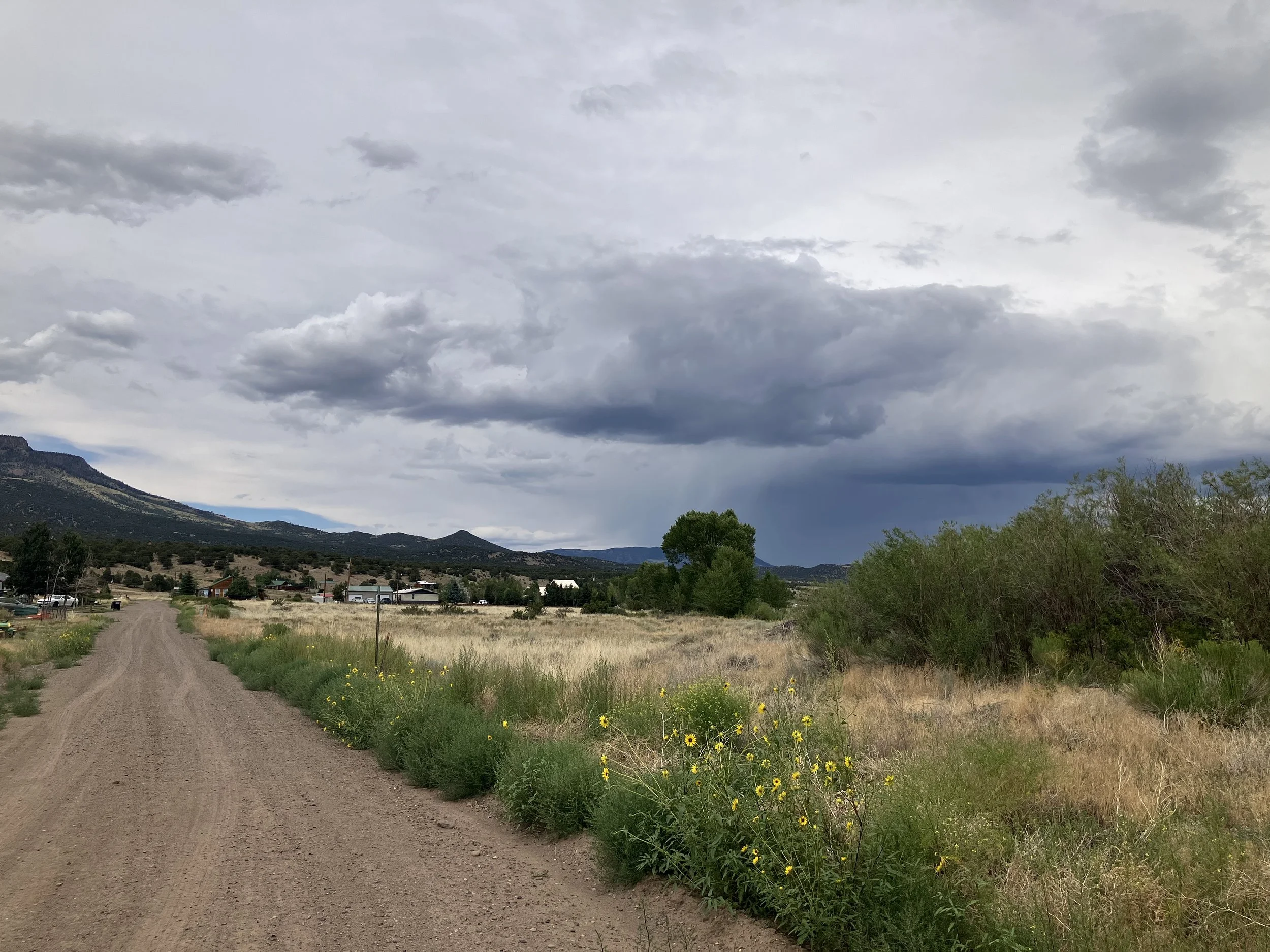 Dirt road running through a rural landscape with green grass, yellow wildflowers, a few trees, and mountains in the background. Overcast sky with dark clouds.