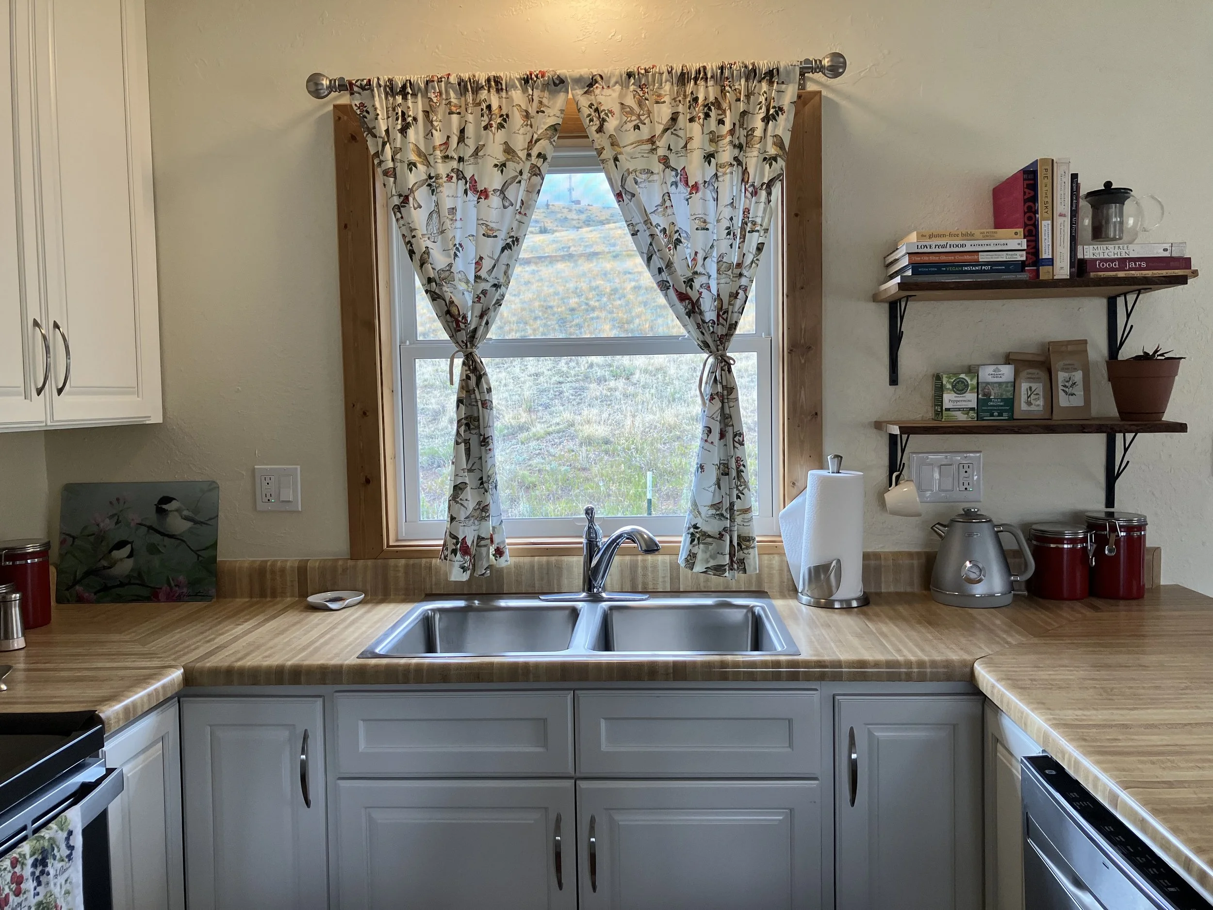 Kitchen sink with window above, curtains featuring a bird and flower pattern, countertop with kitchen appliances and jars, open shelf with books and potted plant.