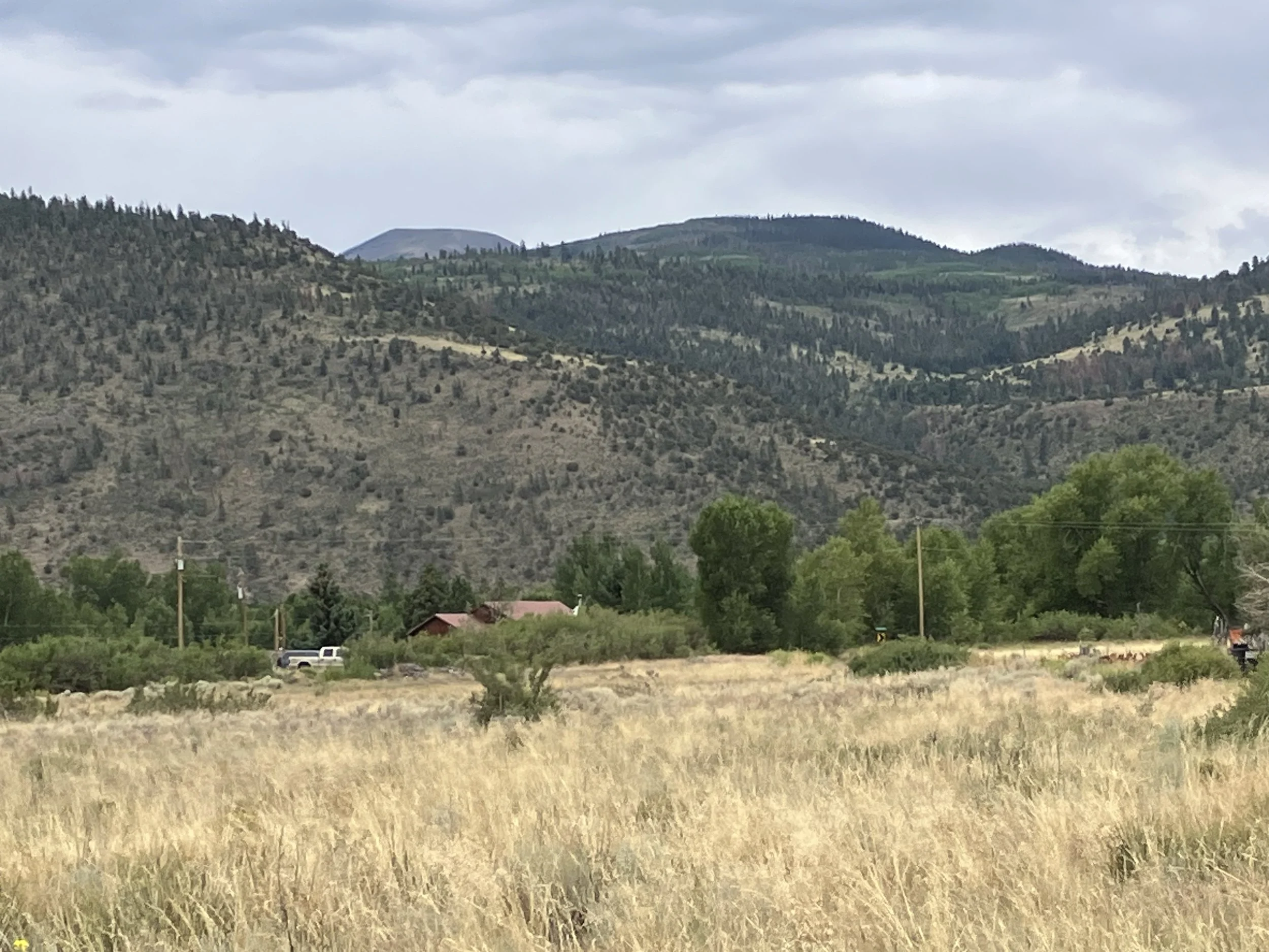 A rural landscape with dry grass in the foreground, trees, and a house with a red roof near utility poles. Mountains covered in shrubs and trees are in the background under a cloudy sky.