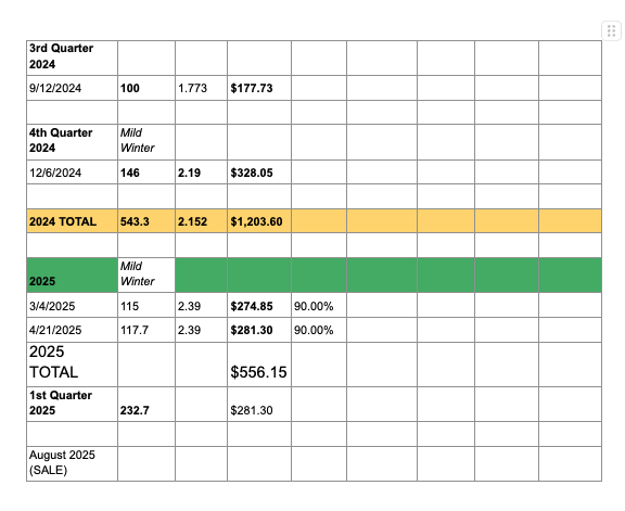 Financial spreadsheet showing quarterly sales data for 2024 and 2025, including units sold, revenue, and seasonal notes.