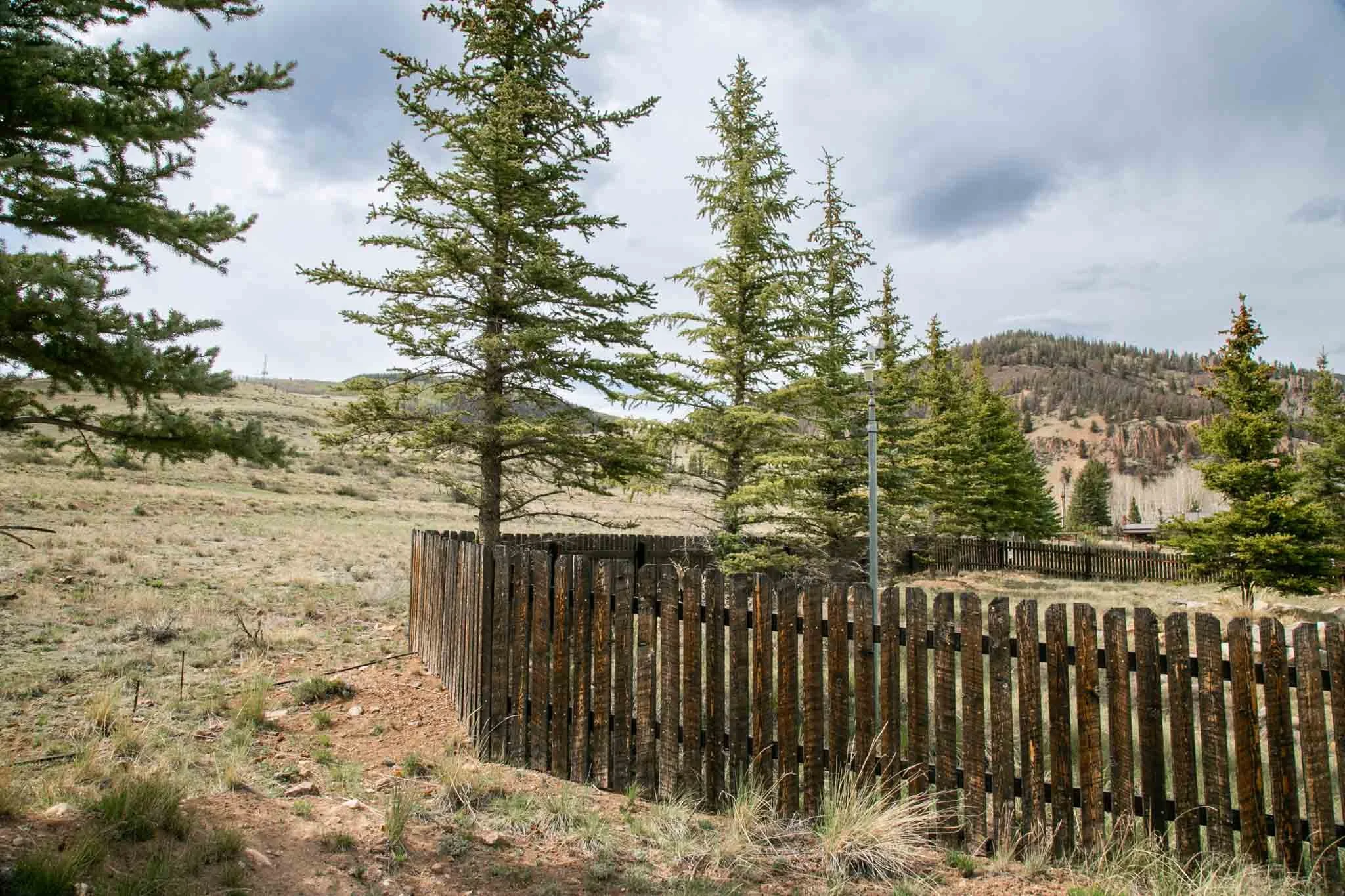 227 Bee McClure Creede America - Ashography-7461.jpg