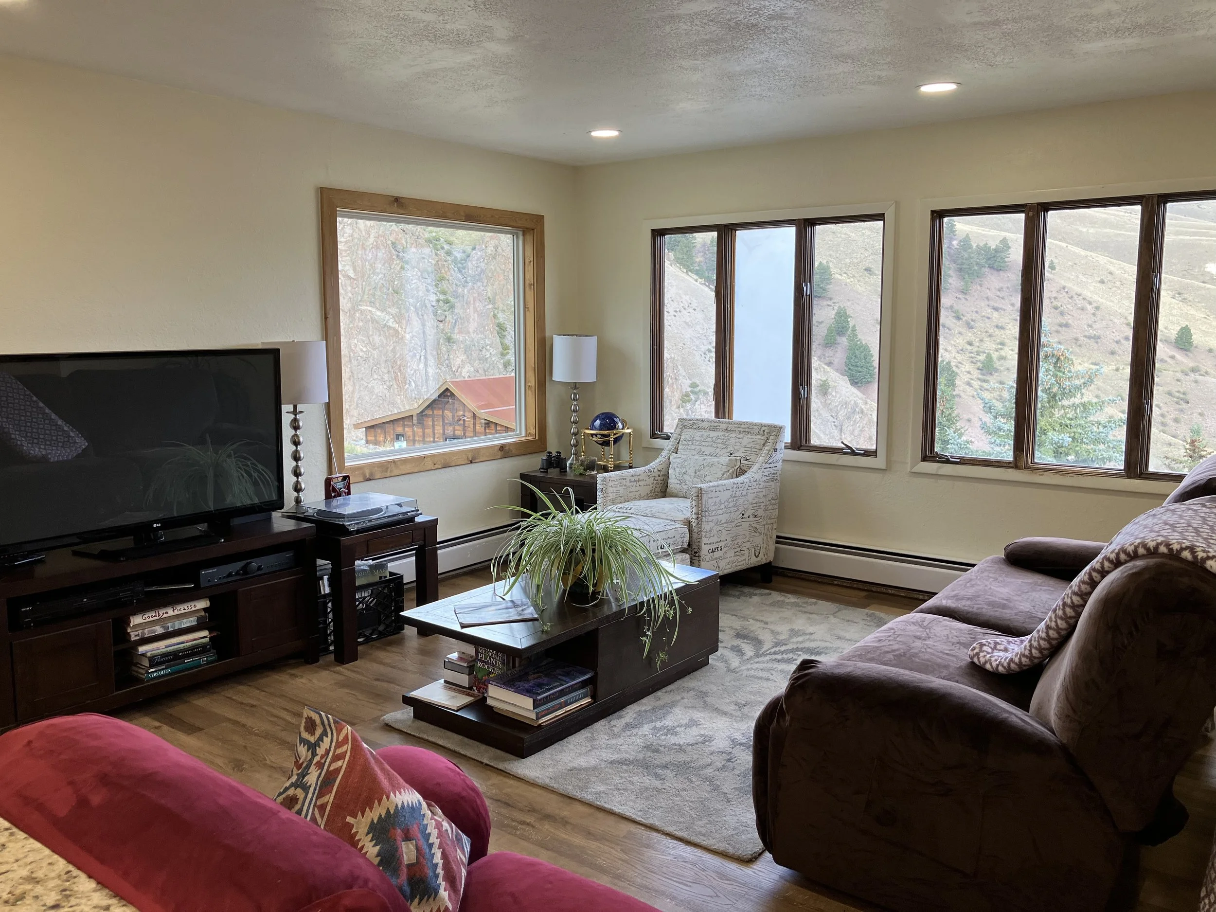 A living room with large windows showing a mountain landscape. It has a dark brown sofa, a patterned armchair, a red armchair, and a coffee table with books and a plant. There are two lamps, a TV on a stand, and a beige area rug.