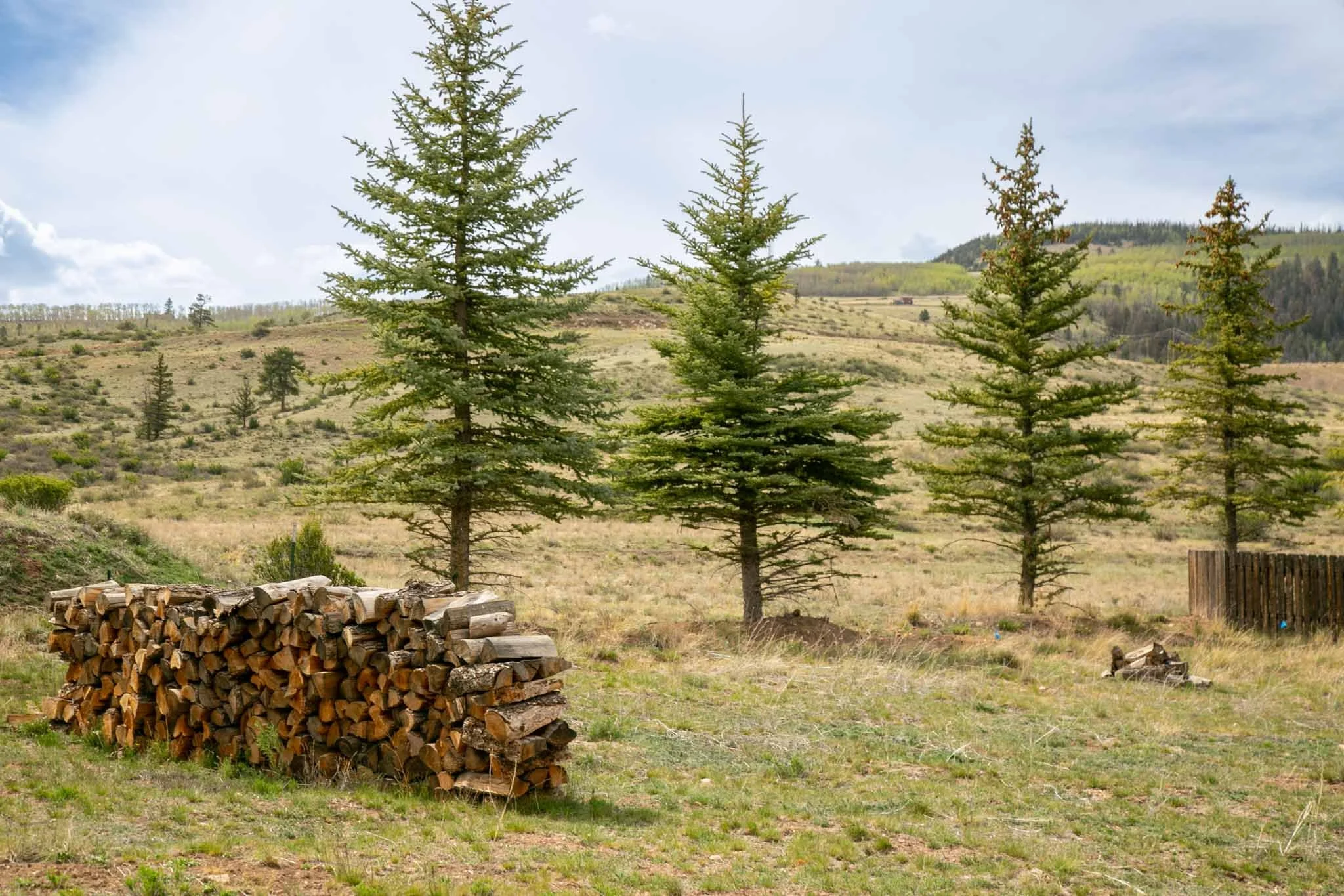 227 Bee McClure Creede America - Ashography-7446.jpg
