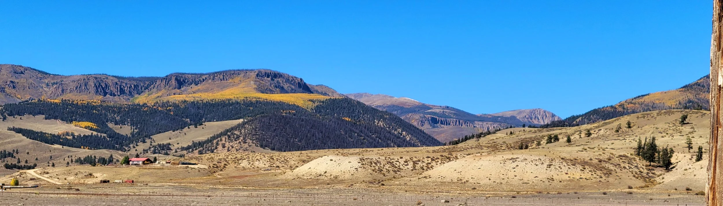 view up Miners Creek.jpg