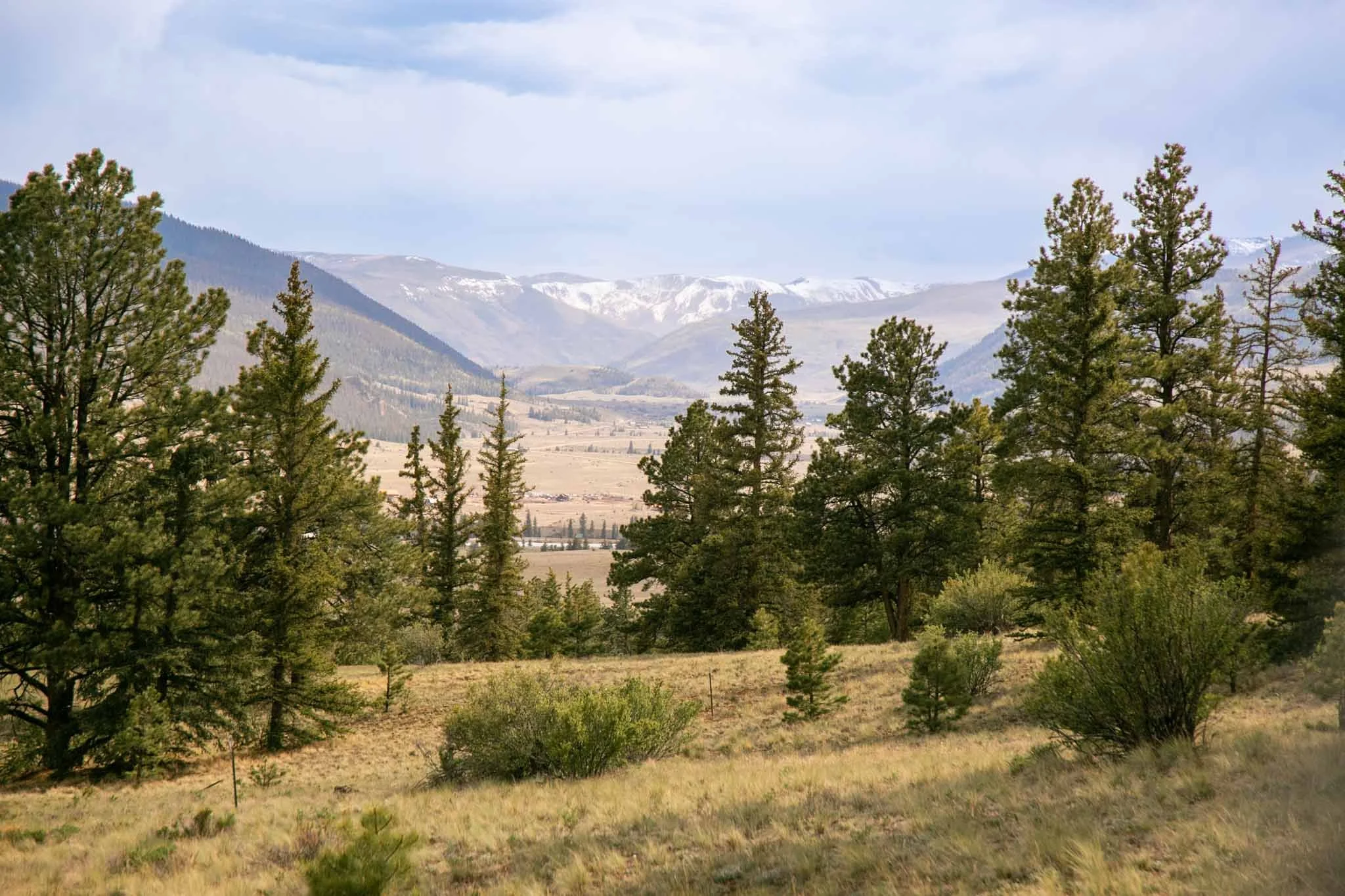 227 Bee McClure Creede America - Ashography-7558.jpg