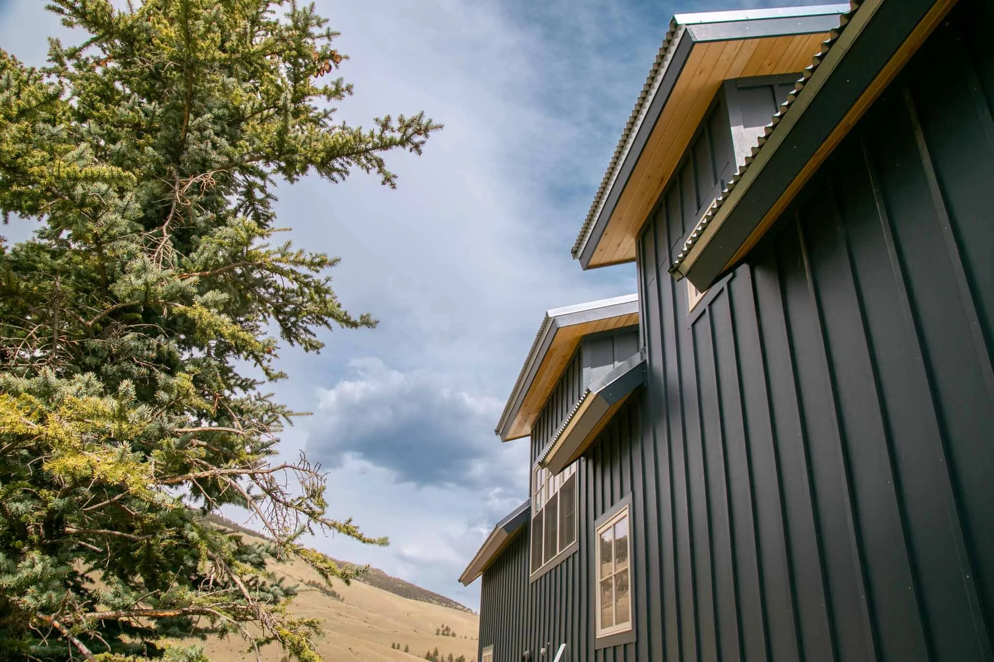 227 Bee McClure Creede America - Ashography-7468.jpg